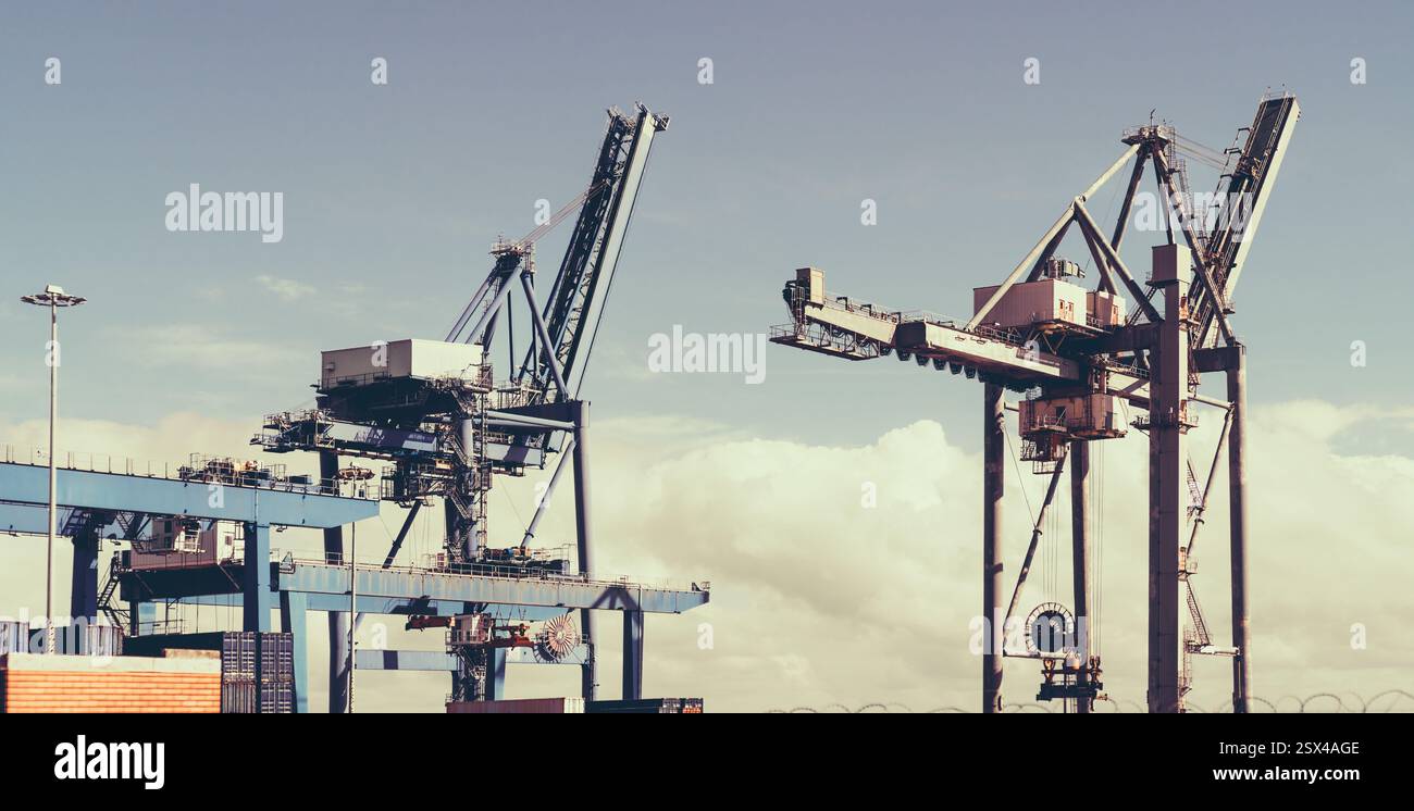 Photo téléphoto d'un port de transport industriel avec de grandes grues à conteneurs pour le chargement et le déchargement de cargaisons. Structures métalliques massives avec Ar mécanique Banque D'Images