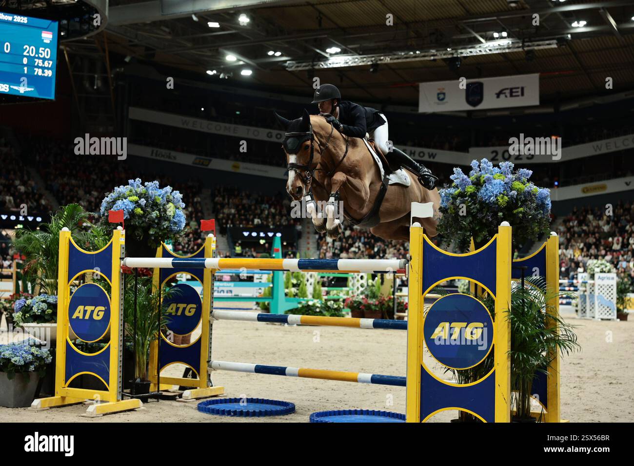 Gothenburg, Suède. 22 février 2025. Lars Kersten des pays-Bas avec Dancing Queen lors du Trophée Gothenburg présenté par Volvo Cars au Gothenburg Horse Show le 22 février 2025, Gothenburg, Suède (photo de Maxime David - MXIMD Pictures) crédit : MXIMD Pictures/Alamy Live News Banque D'Images
