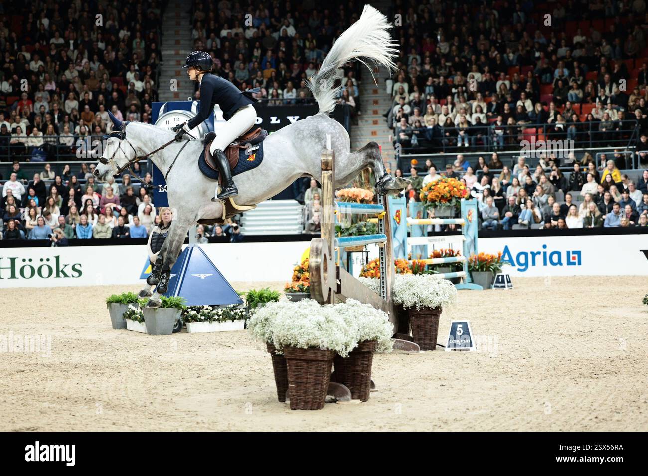 Gothenburg, Suède. 22 février 2025. Wilma Hellström de Suède avec Eleven lors du Trophée Gothenburg présenté par Volvo Cars au Gothenburg Horse Show le 22 février 2025, Gothenburg, Suède (photo de Maxime David - MXIMD Pictures) crédit : MXIMD Pictures/Alamy Live News Banque D'Images