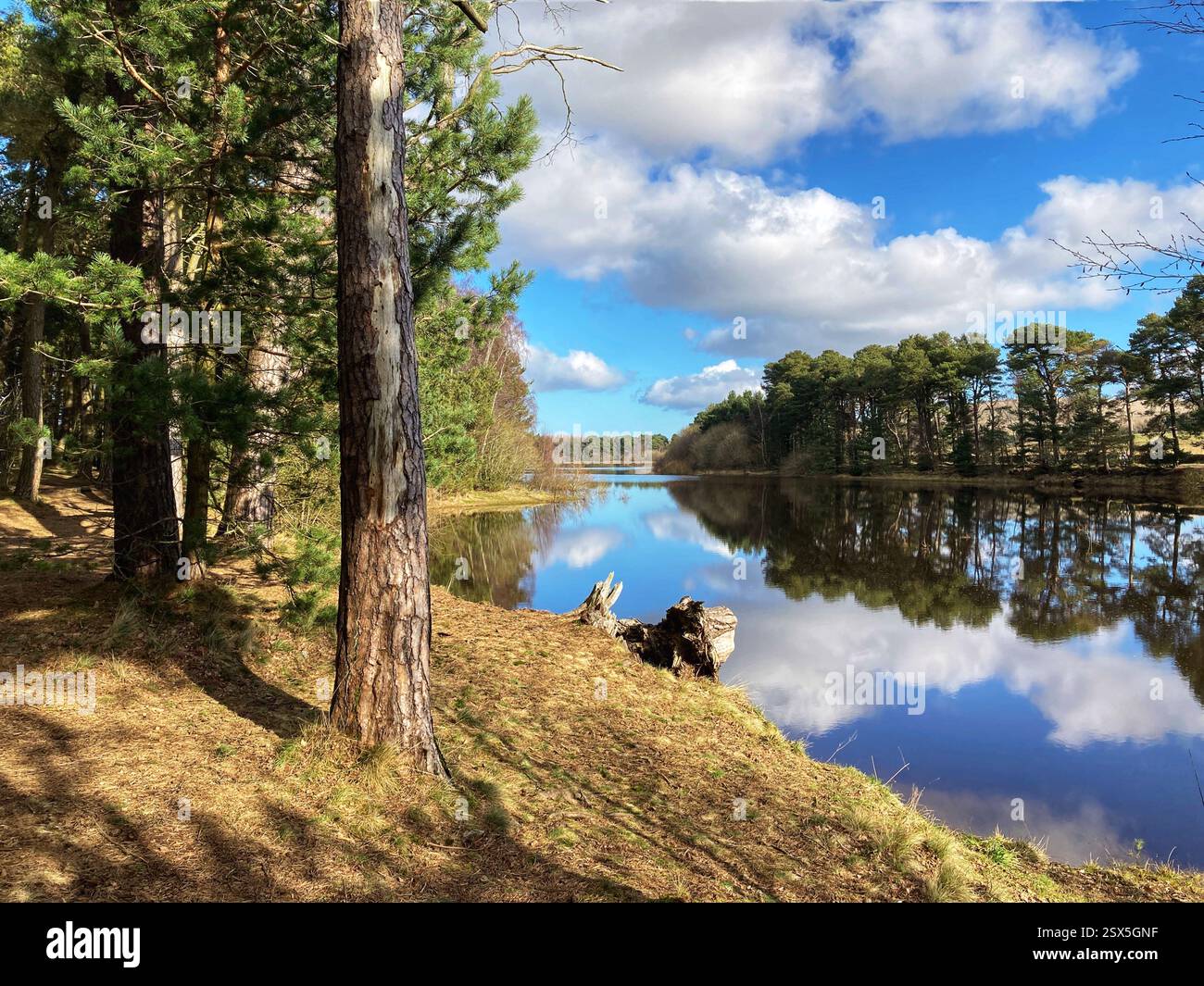 Harlaw Reservoir, parc régional de Pentland Hills, Édimbourg Banque D'Images