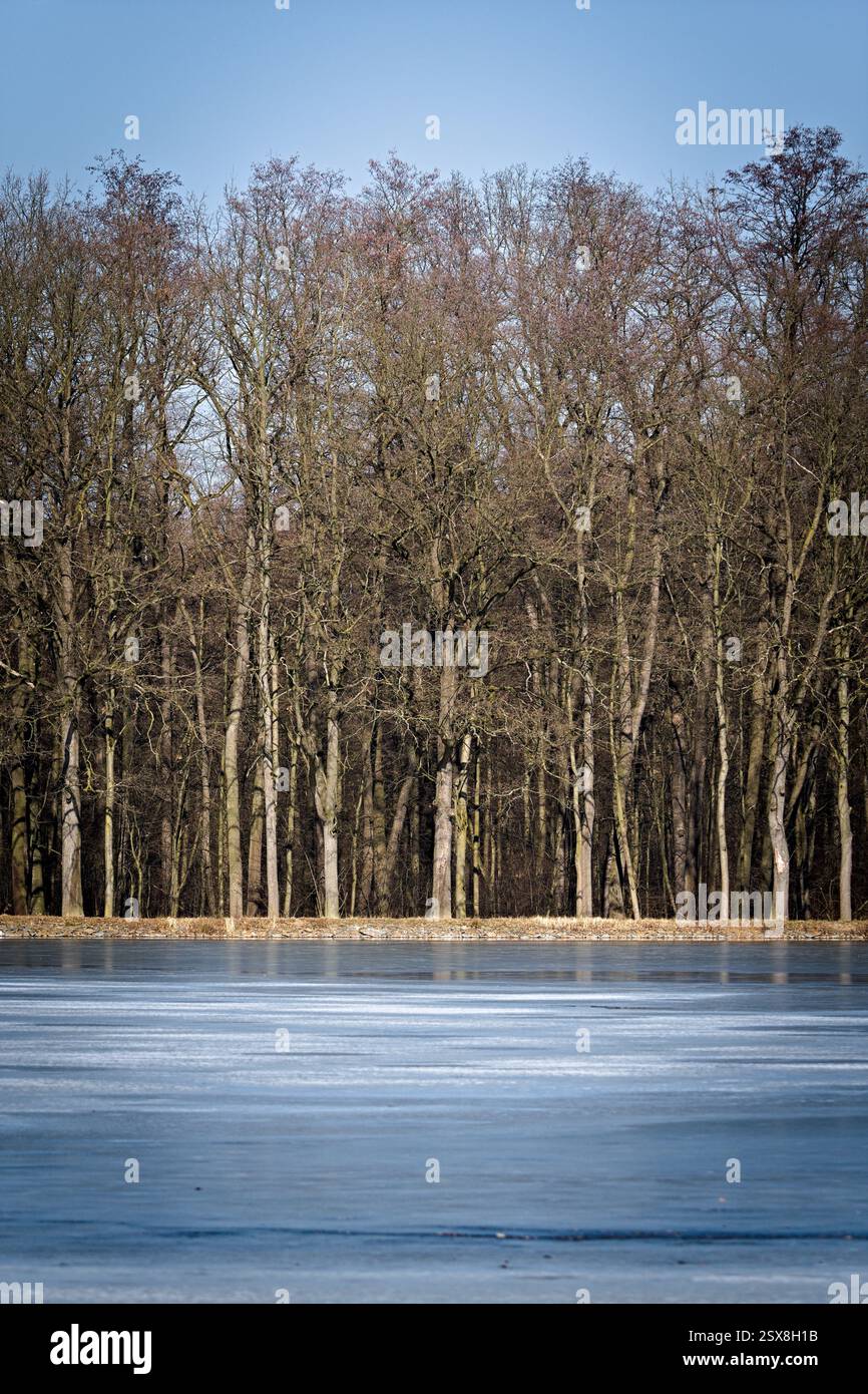 Lac en forêt. Paysage hivernal. Nature de la république tchèque. Étang couvert de glace. Banque D'Images