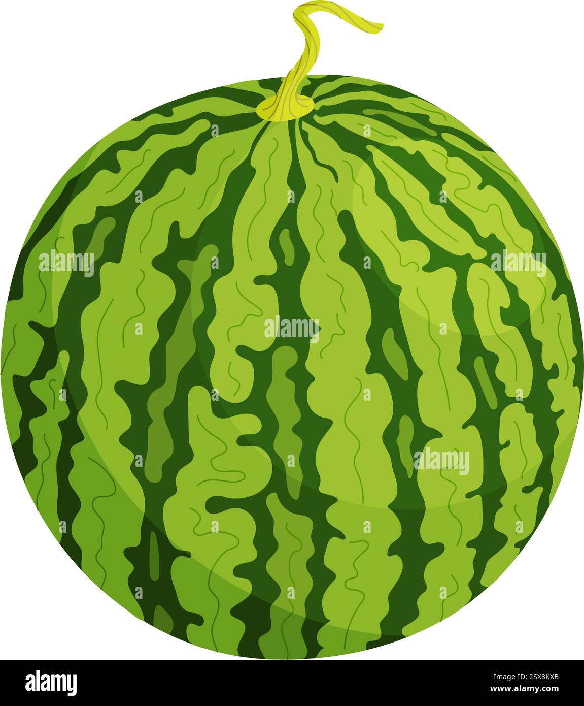 Vecteur vert frais pastèque entière. Pastèque mûre de dessin animé. Dessiné à la main style plat à la mode fruit isolé dessert naturel biologique, illustration de fruits d'été juteux rouge doux et sain Illustration de Vecteur