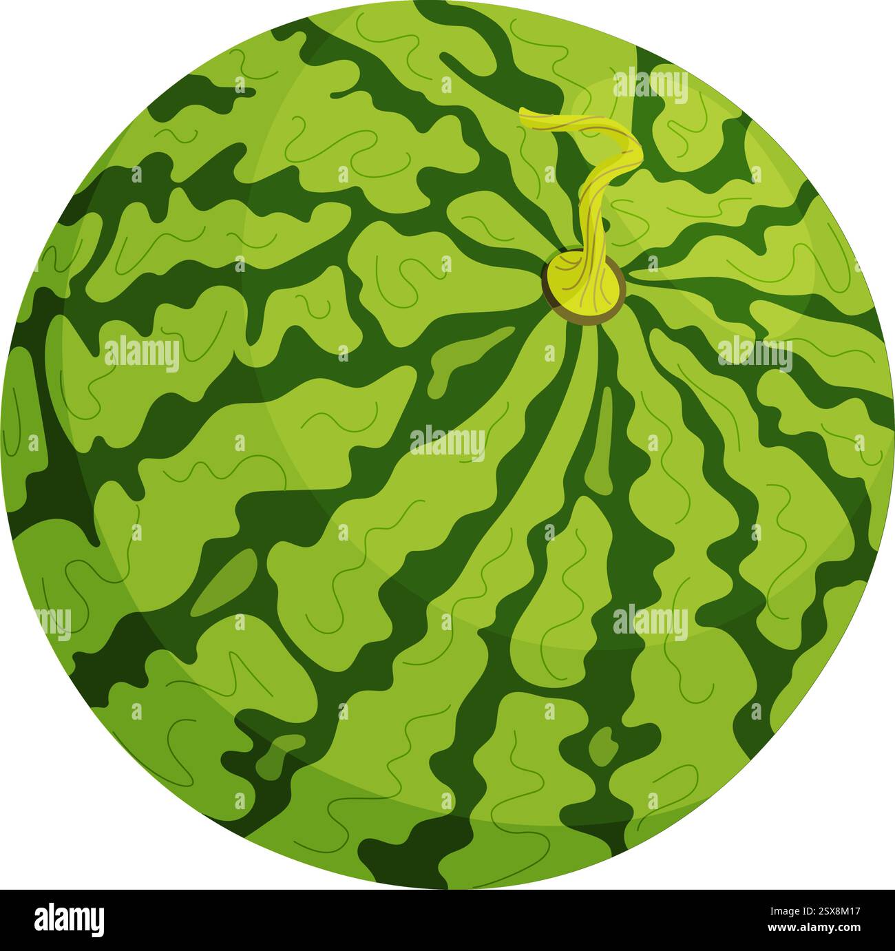 Vecteur vert frais pastèque entière. Pastèque mûre de dessin animé. Dessiné à la main style plat à la mode fruit isolé dessert naturel biologique, illustration de fruits d'été juteux rouge doux et sain Illustration de Vecteur