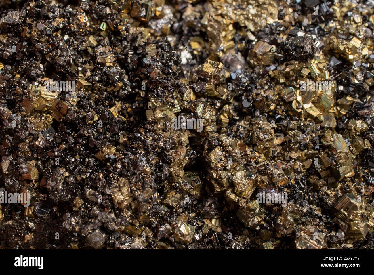 Fleur minérale de pyrite couleur noire et dorée Soft Focus gros plan, motif abstrait Banque D'Images