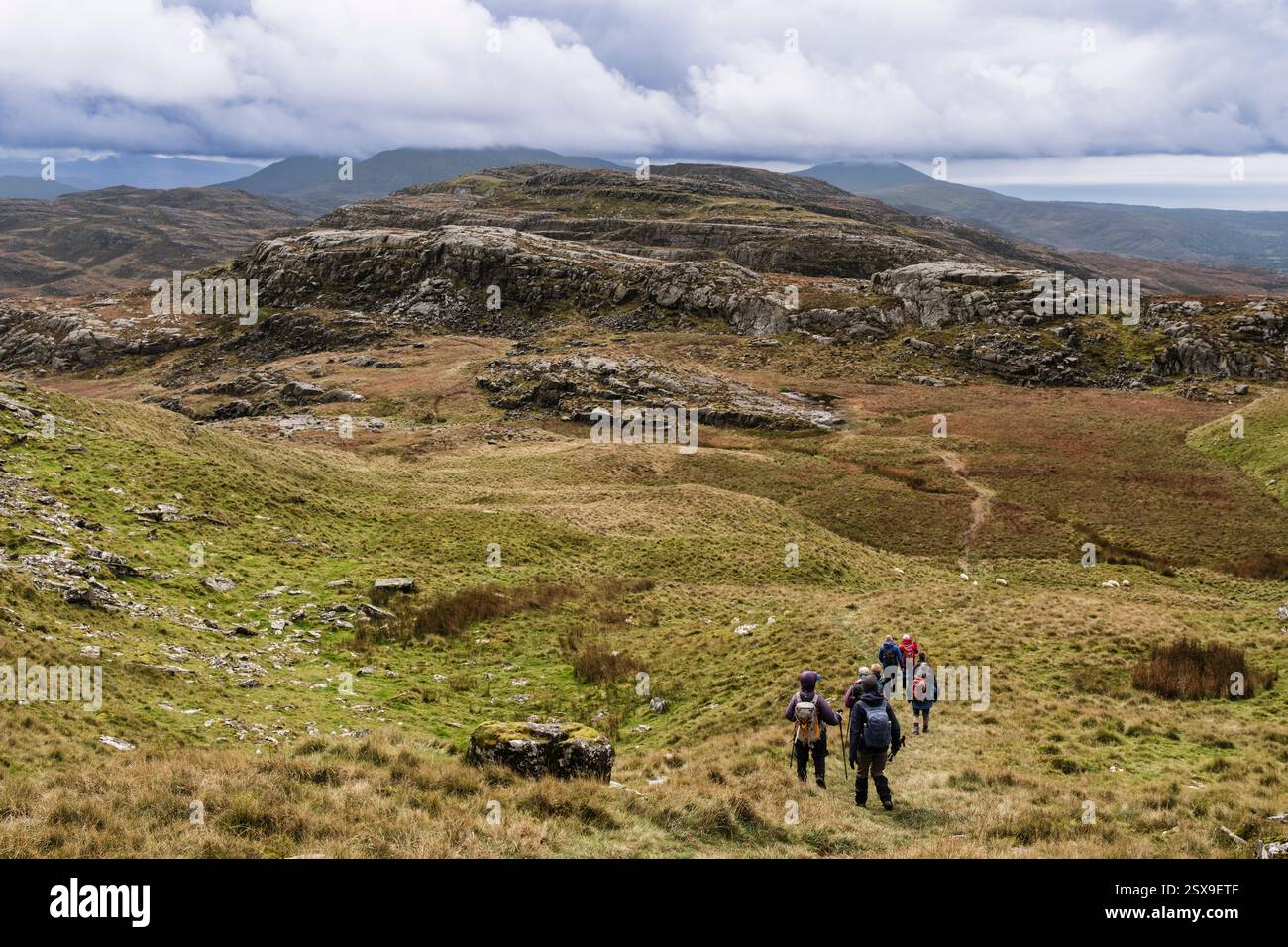 Promeneurs descendant Moel Ysgyfarnogod dans le paysage de montagne rocheuse des Rhinogs (Rhinogydd) sur Cambrian Way dans le parc national de Snowdonia. Pays de Galles, Royaume-Uni Banque D'Images
