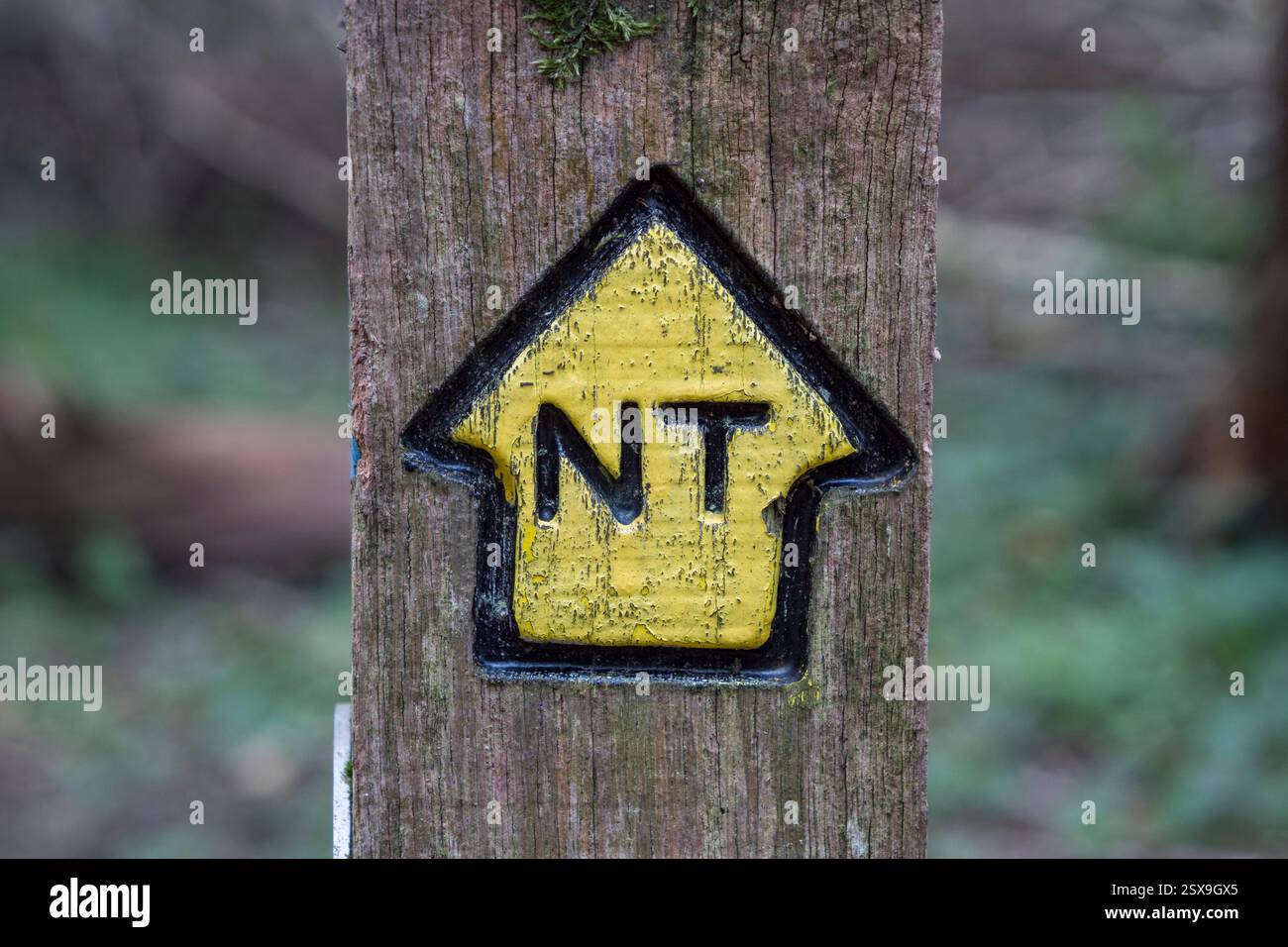 Un symbole National Trust (NT) sur un billet à Denbies Hillside, Surrey, Royaume-Uni. Banque D'Images