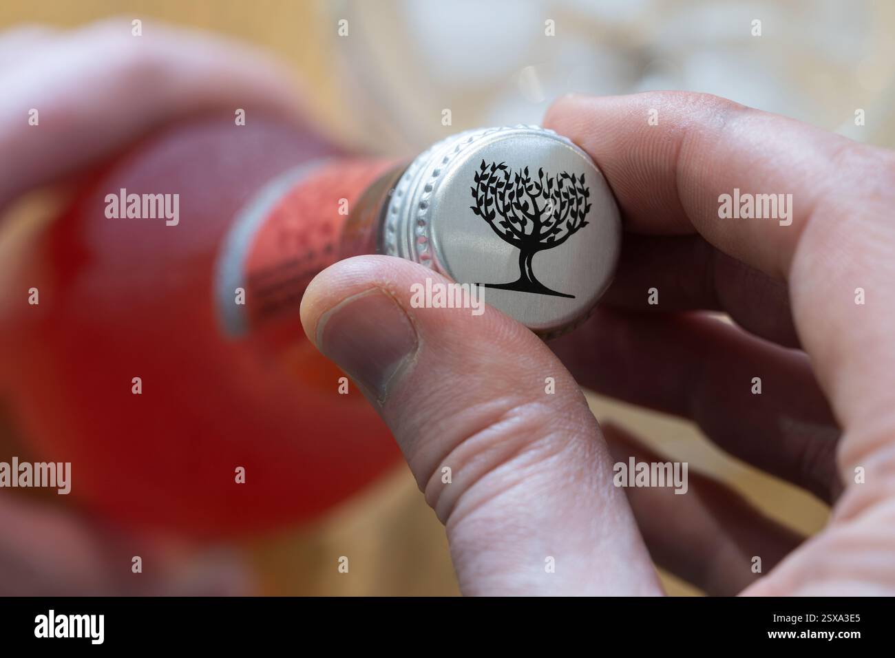 Main d'homme dévissant un bouchon à vis sur une bouteille de limonade framboise Fevertree, un mélangeur d'option premium sans grandes quantités de conservateurs Banque D'Images