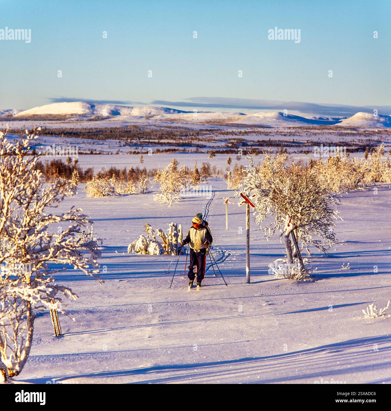 Le ski de fond Banque D'Images