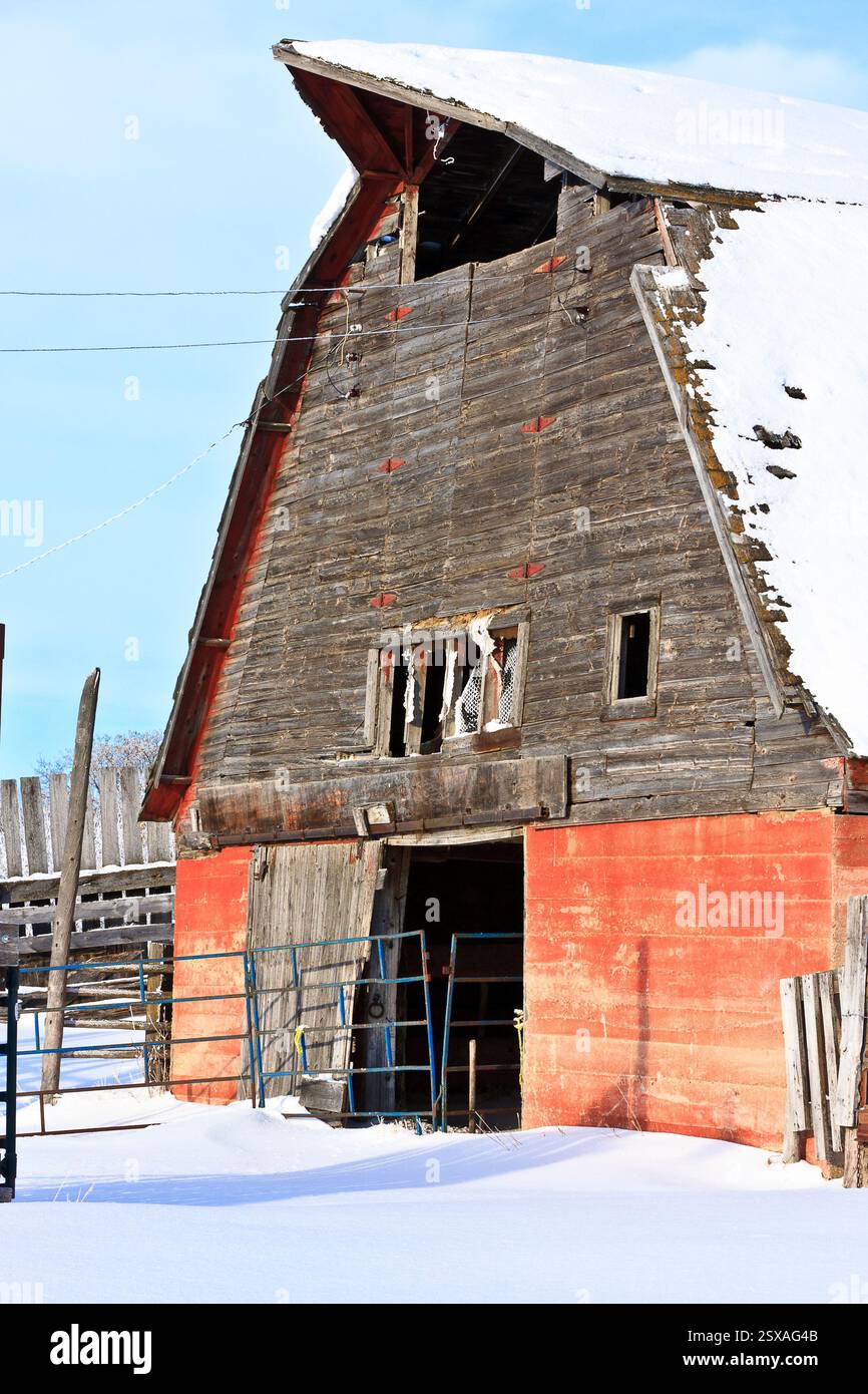 Grange rouge avec un toit couvert de neige. La grange est vieille et a un aspect rustique Banque D'Images