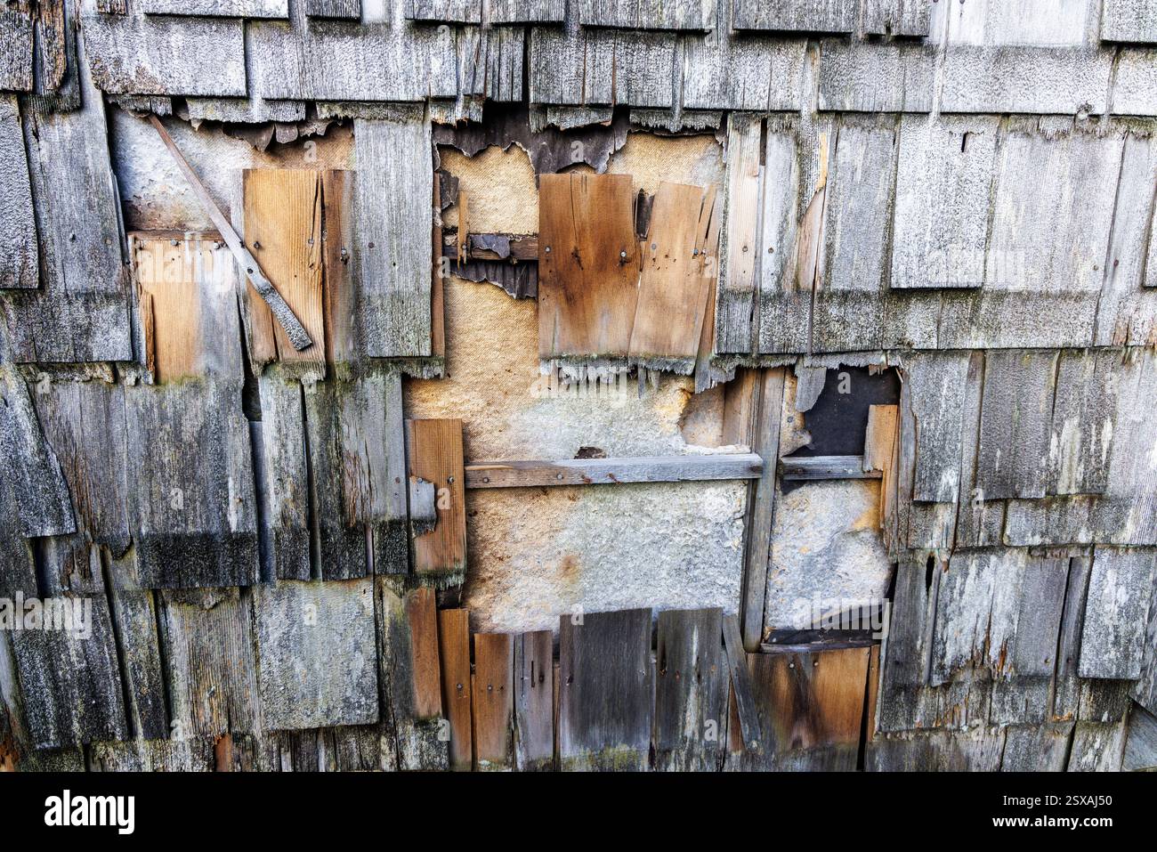 Bardeaux en bois défectueux sur le mur de la maison à Shap Abbey, Cumbria, Angleterre, Royaume-Uni Banque D'Images
