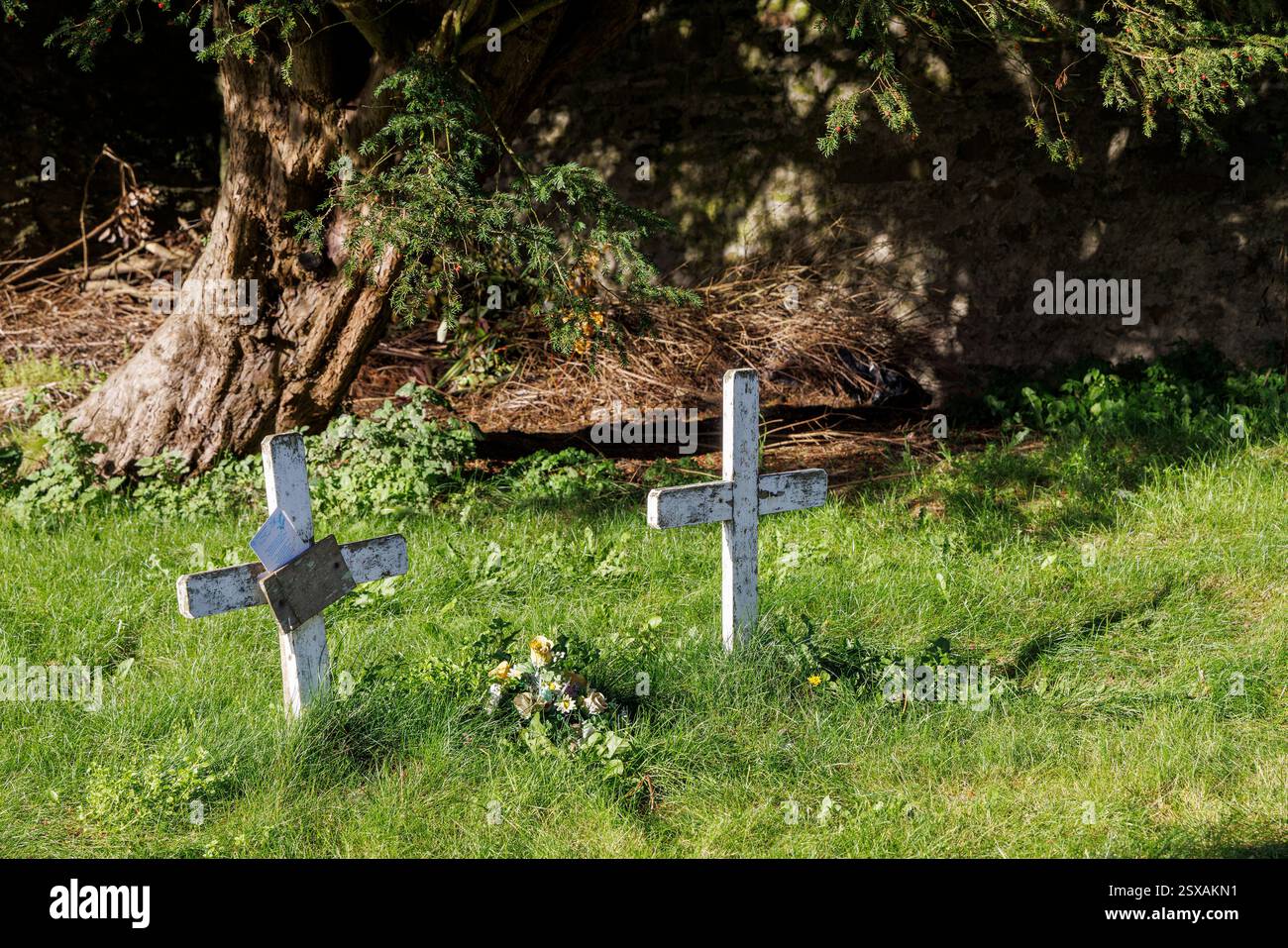 Simples croix en bois dans le cimetière, église St Columba d'Irlande, Kells, Co. Meath, Irlande Banque D'Images