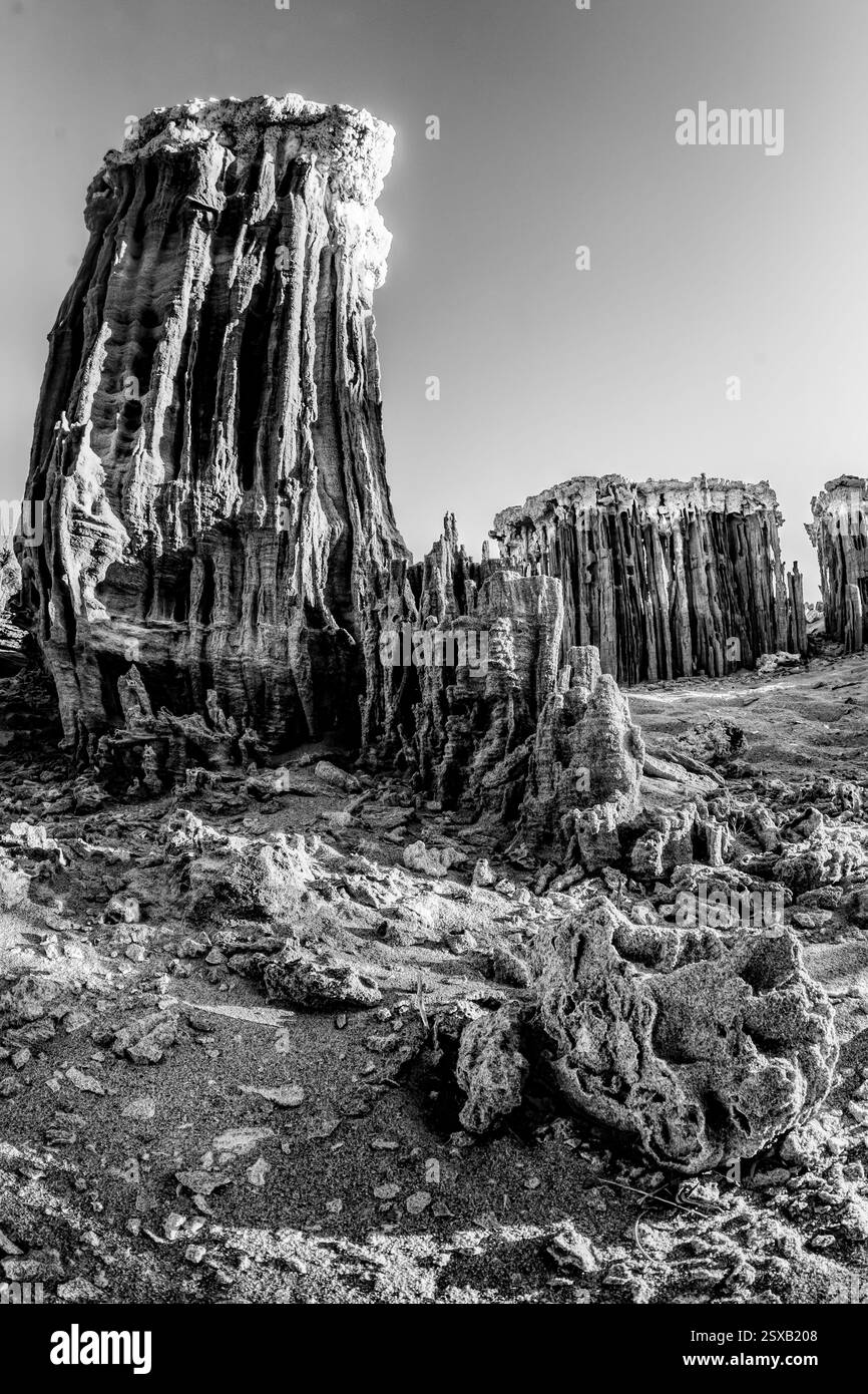 Grande formation rocheuse avec un petit arbre qui pousse hors de lui. La formation rocheuse est entourée d'autres roches Banque D'Images