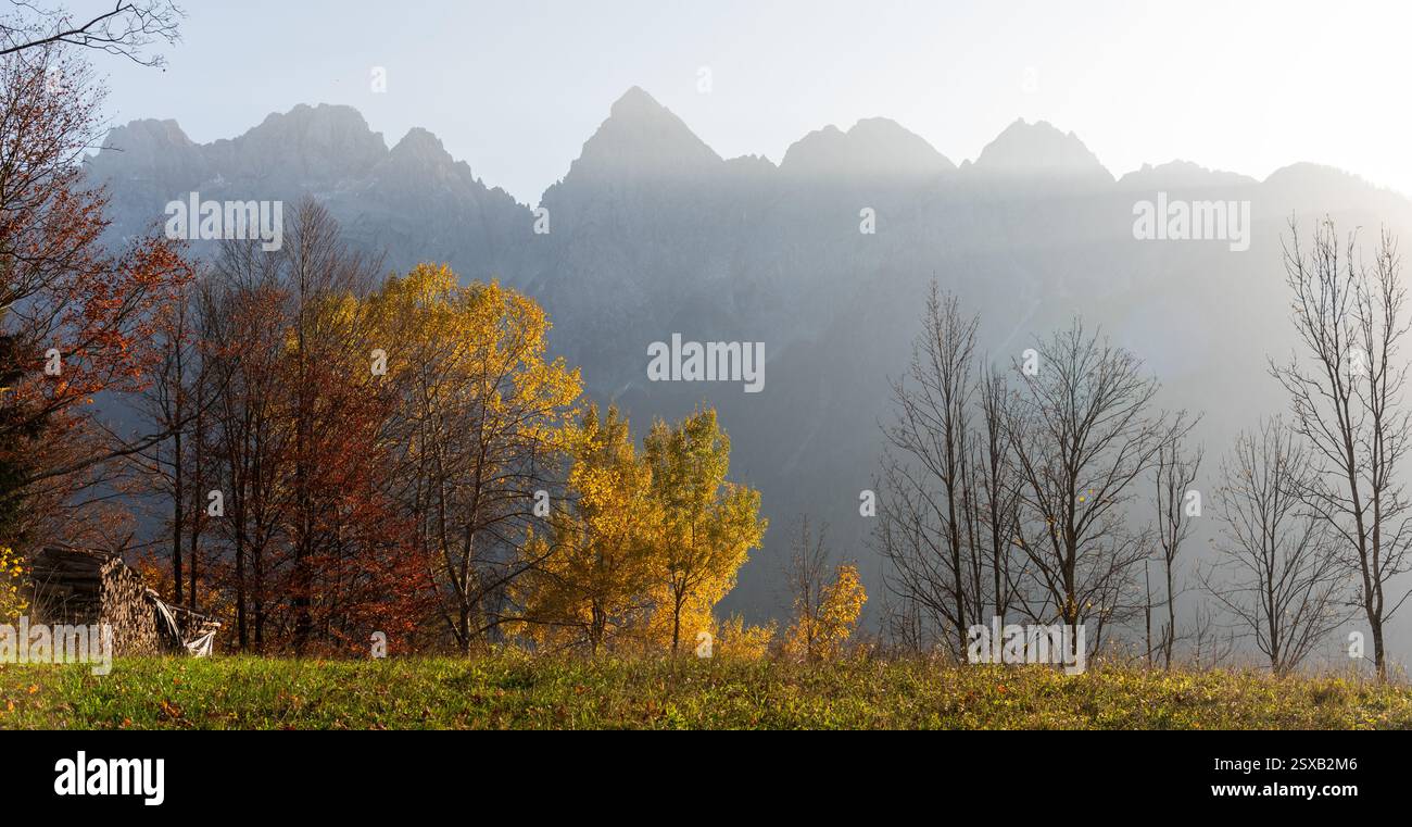 Superbe chaîne de montagnes culminant à travers des arbres d'automne colorés tôt le matin Banque D'Images