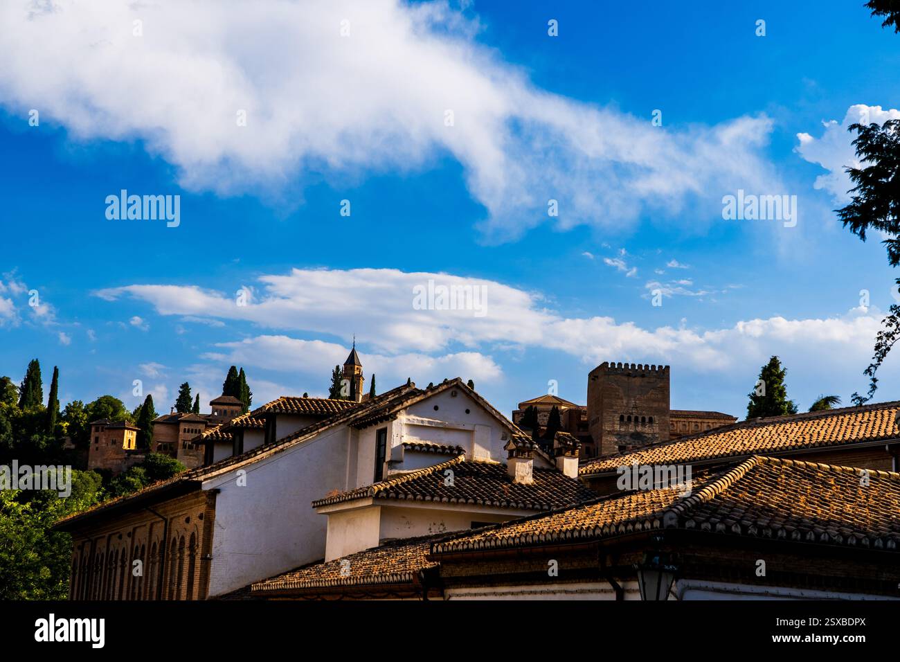 Alhambra mauresque sur les toits de Grenade : des siècles de splendeur nasride au milieu des silhouettes verdoyantes de cyprès andalous et du patrimoine espagnol intemporel Banque D'Images