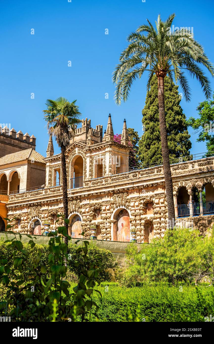 Galería de los Grutescos dans le Royal Alcázar de Séville : grotesques Renaissance ombragés de palmiers au milieu de la majesté intemporelle et de la splendeur royale d'Espagne Banque D'Images
