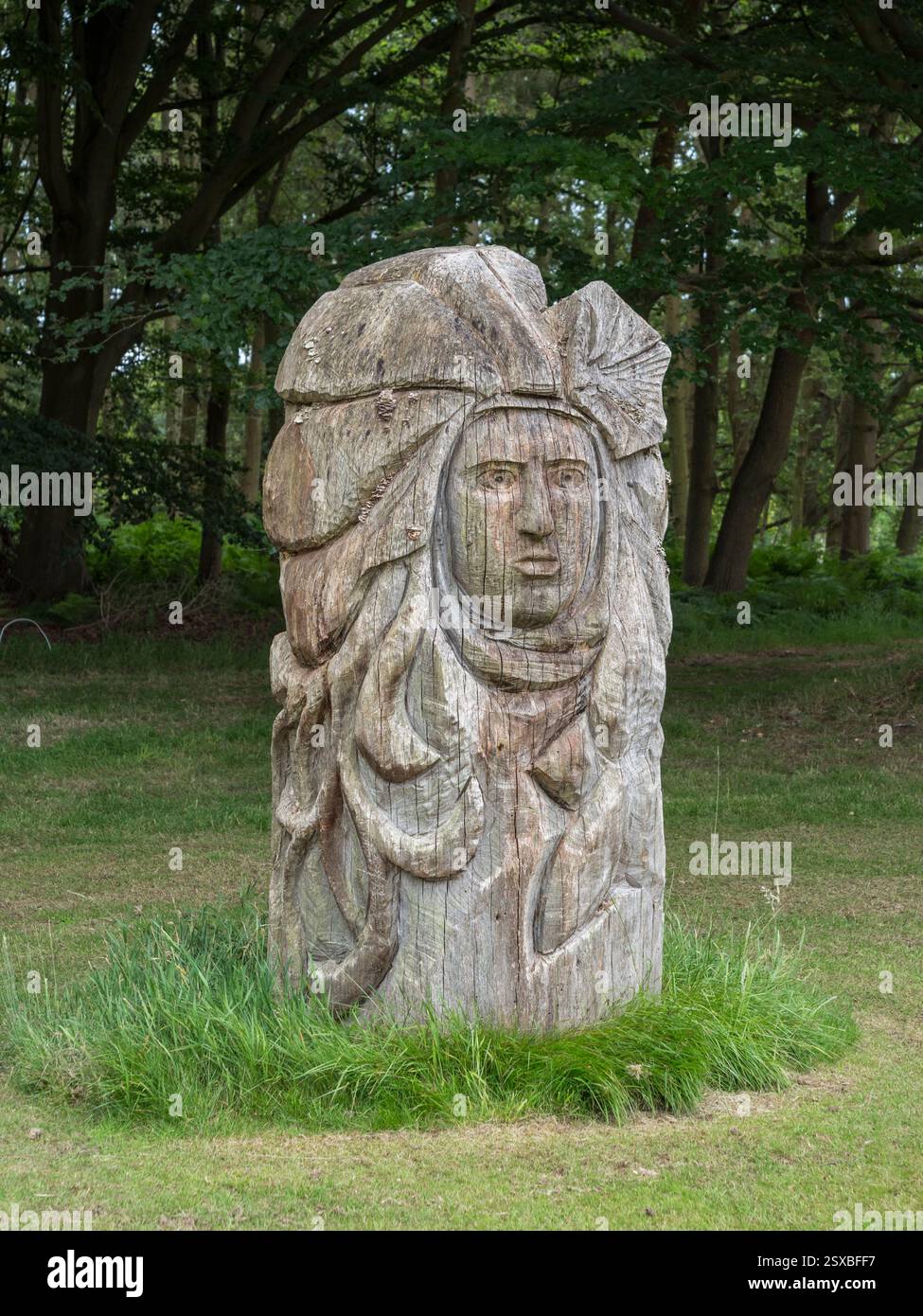 Une sculpture sur bois dans Windsor Great Park, Berkshire, Royaume-Uni. Banque D'Images