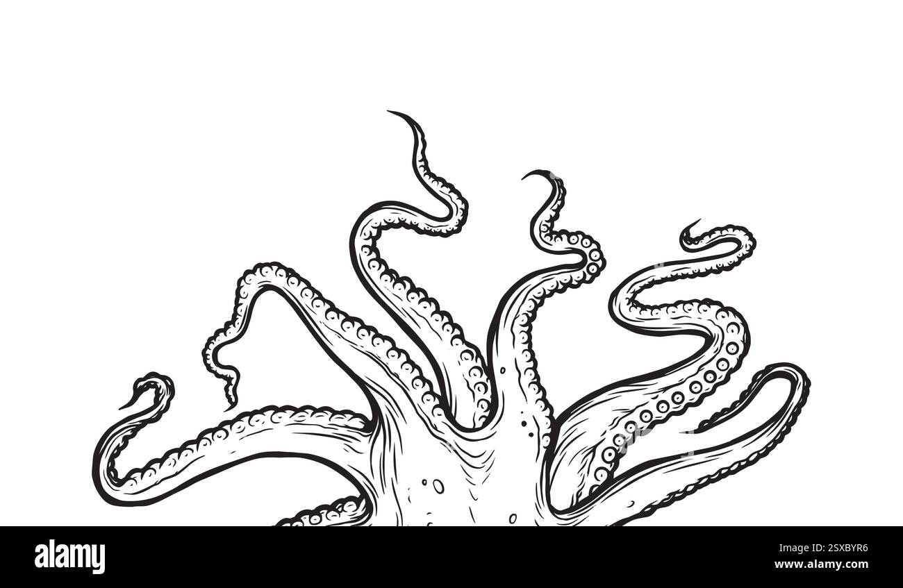 Illustration vectorielle Octopus. Tentacules de pieuvre atteignant vers le haut, parties du corps d'animaux marins ressemblant à des calmars dépassant du cadre, coupées pour la nourriture Illustration de Vecteur