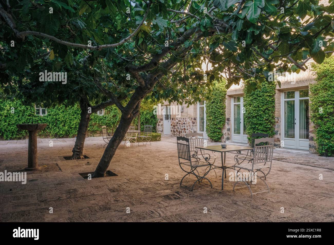 Patio avec chaises, table, arbres et plantes sur la terrasse du bar du Parador de Turismo dans la ville d'Almagro, province de Ciudad Real, Espagne Banque D'Images