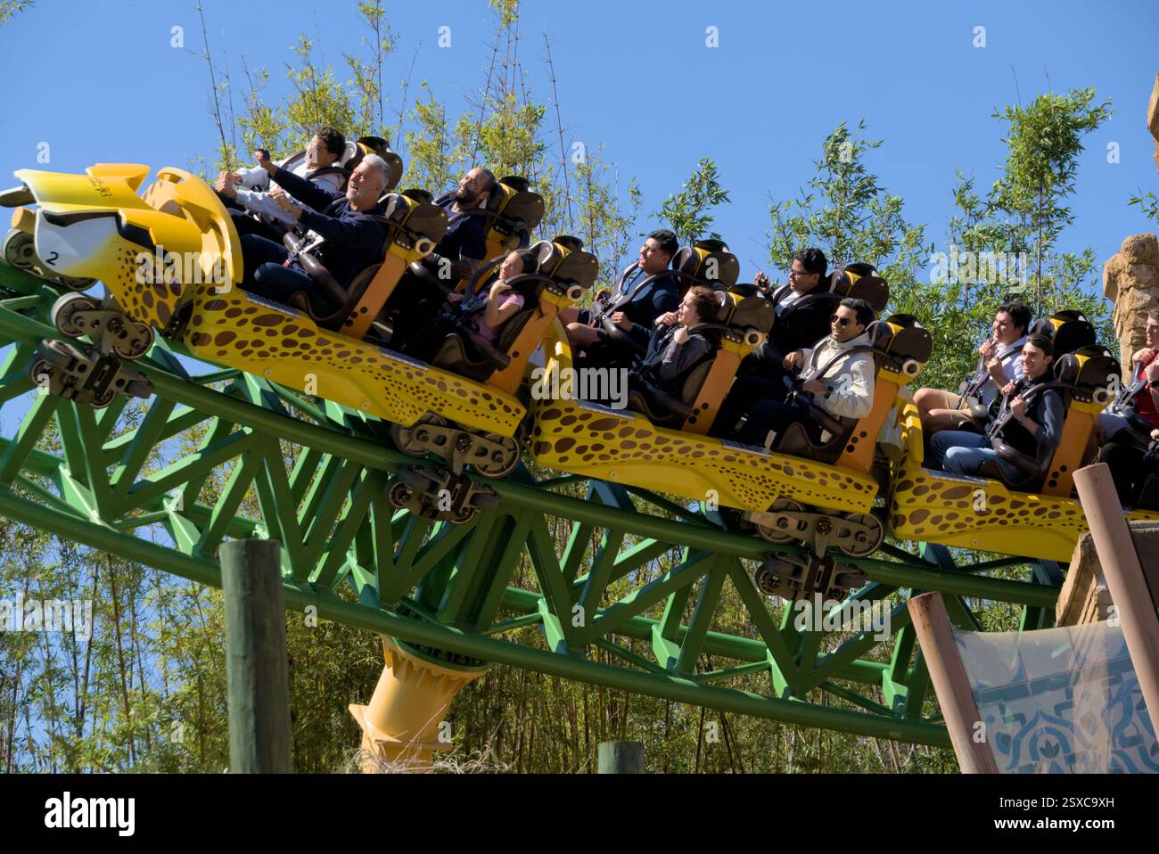 Busch Gardens Tampa 25 février 2025 - Cheetah Hunt, la première goutte Banque D'Images