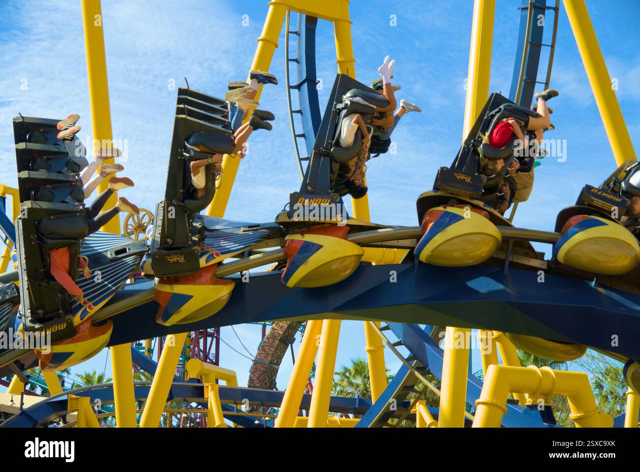 Busch Gardens 25 février 2025 - B&M Montu, inversion Banque D'Images