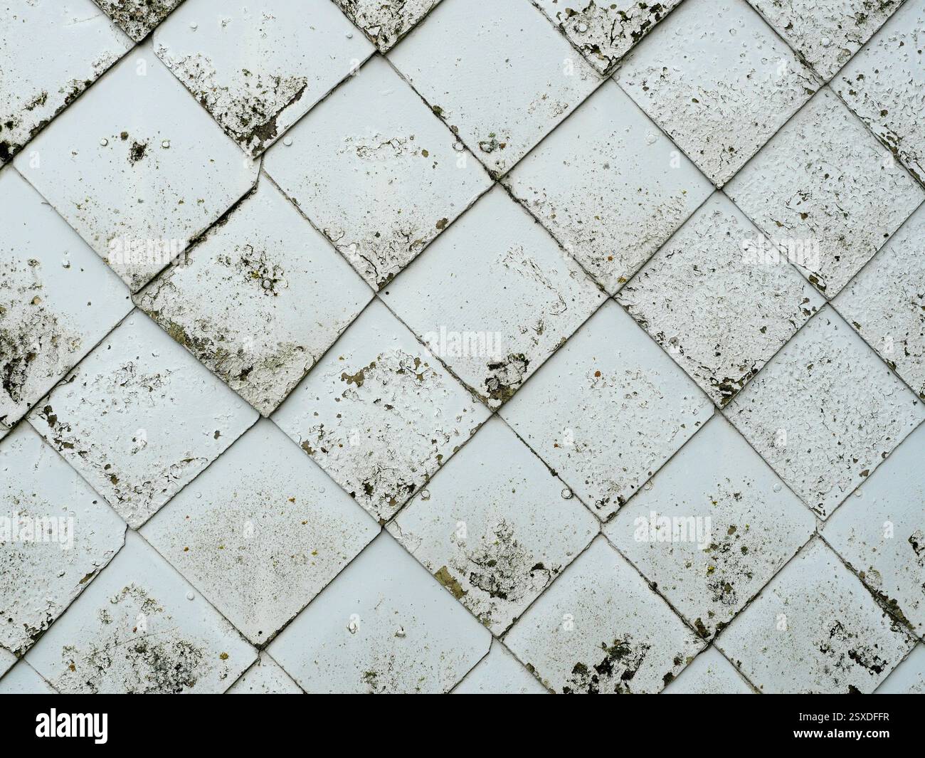 Bardeaux d'ardoise blancs et altérés avec des nuances de couleur. Idéal pour les fondations de conception qui mettent l'accent sur les textures et les structures naturelles. Banque D'Images