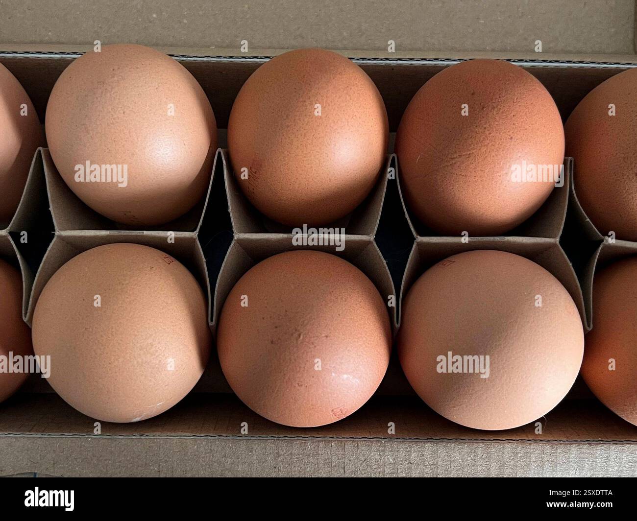 Hierzulande werden Eier knapp, weil die Nachfrage derzeit BEI Weitem das Angebot übersteigt. Grund fuer die angespannte Marktlage ist die Vogelgrippe-Archivbild 2024 - Korb mit Freiland Huehner Eiern Ei Braun im Hofladen Struve in Tapendorf Schleswig Holstein Schleswig Holstein Deutschland *** les œufs sont en pénurie en Allemagne parce que la demande est actuellement largement supérieure à l'offre la situation de marché tendue est la grippe aviaire Archive image 2024 panier d'œufs Egg Brun magasin d'œufs en libre dans la ferme de poulets de Strugg Holleswif Schleswif Holleswif Schlesstein Holleswif Allemagne Banque D'Images