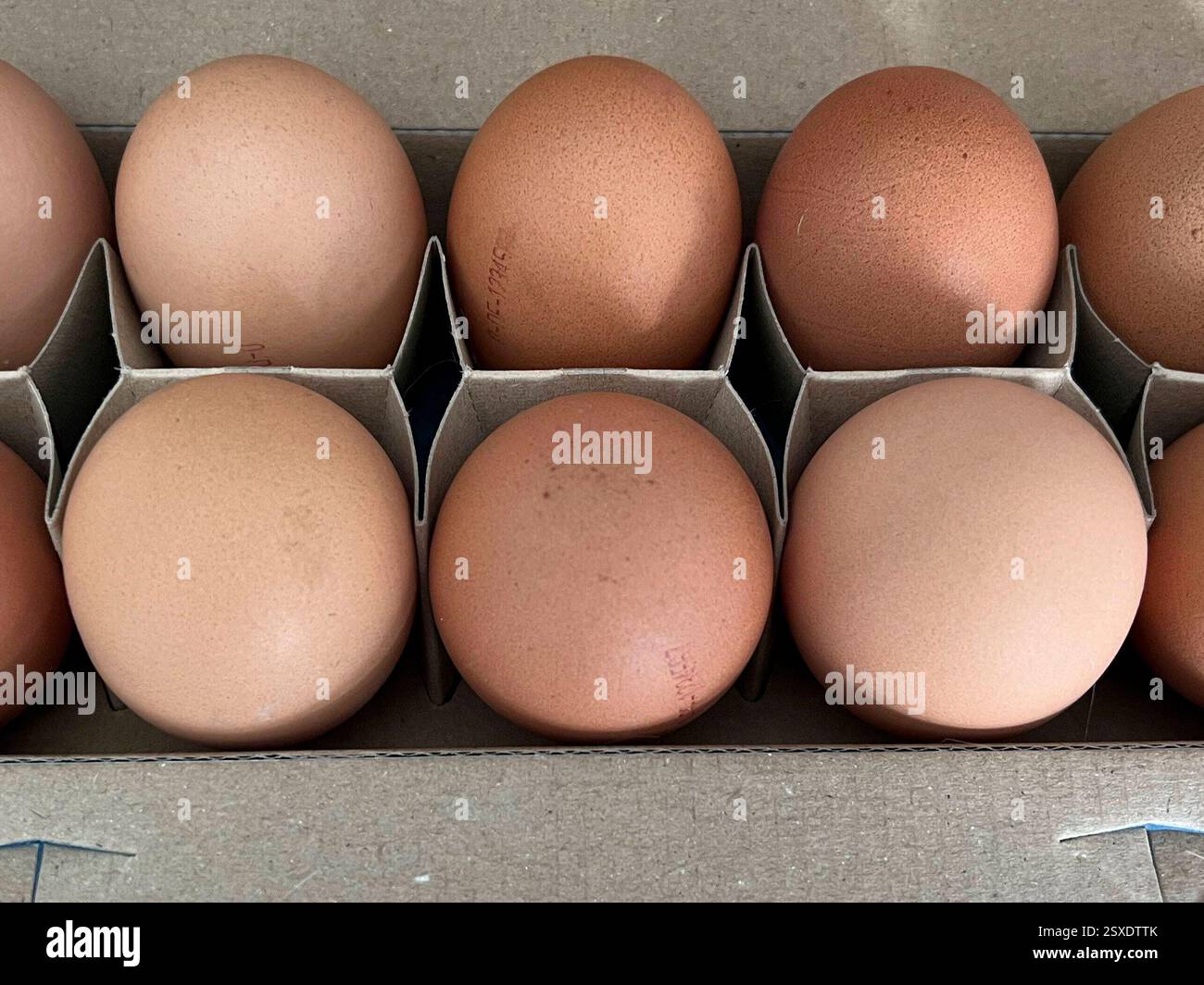 Hierzulande werden Eier knapp, weil die Nachfrage derzeit BEI Weitem das Angebot übersteigt. Grund fuer die angespannte Marktlage ist die Vogelgrippe-Archivbild 2024 - Korb mit Freiland Huehner Eiern Ei Braun im Hofladen Struve in Tapendorf Schleswig Holstein Schleswig Holstein Deutschland *** les œufs sont en pénurie en Allemagne parce que la demande est actuellement largement supérieure à l'offre la situation de marché tendue est la grippe aviaire Archive image 2024 panier d'œufs Egg Brun magasin d'œufs en libre dans la ferme de poulets de Strugg Holleswif Schleswif Holleswif Schlesstein Holleswif Allemagne Banque D'Images