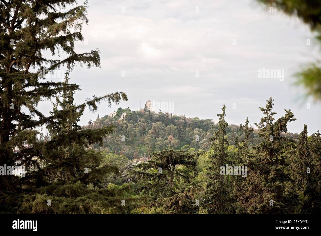 Colline verdoyante à Athènes avec un monument historique au sommet Banque D'Images