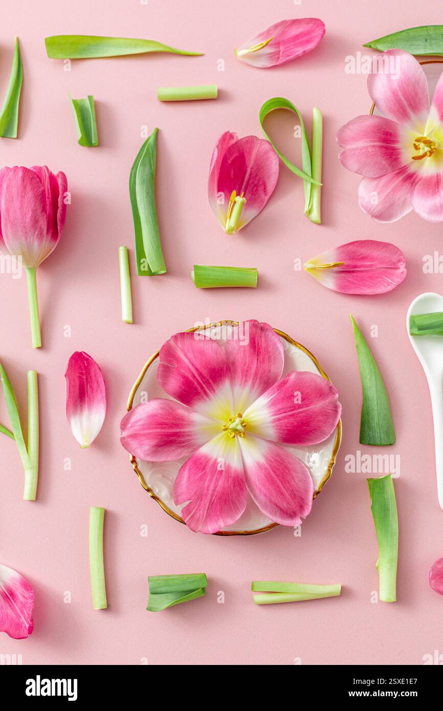 Tulipes déconstruites sur fond rose Banque D'Images