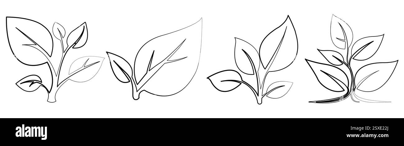Illustration des stades de croissance des plantes montrant le développement des feuilles et les motifs de ramification dans un style vectoriel propre Illustration de Vecteur