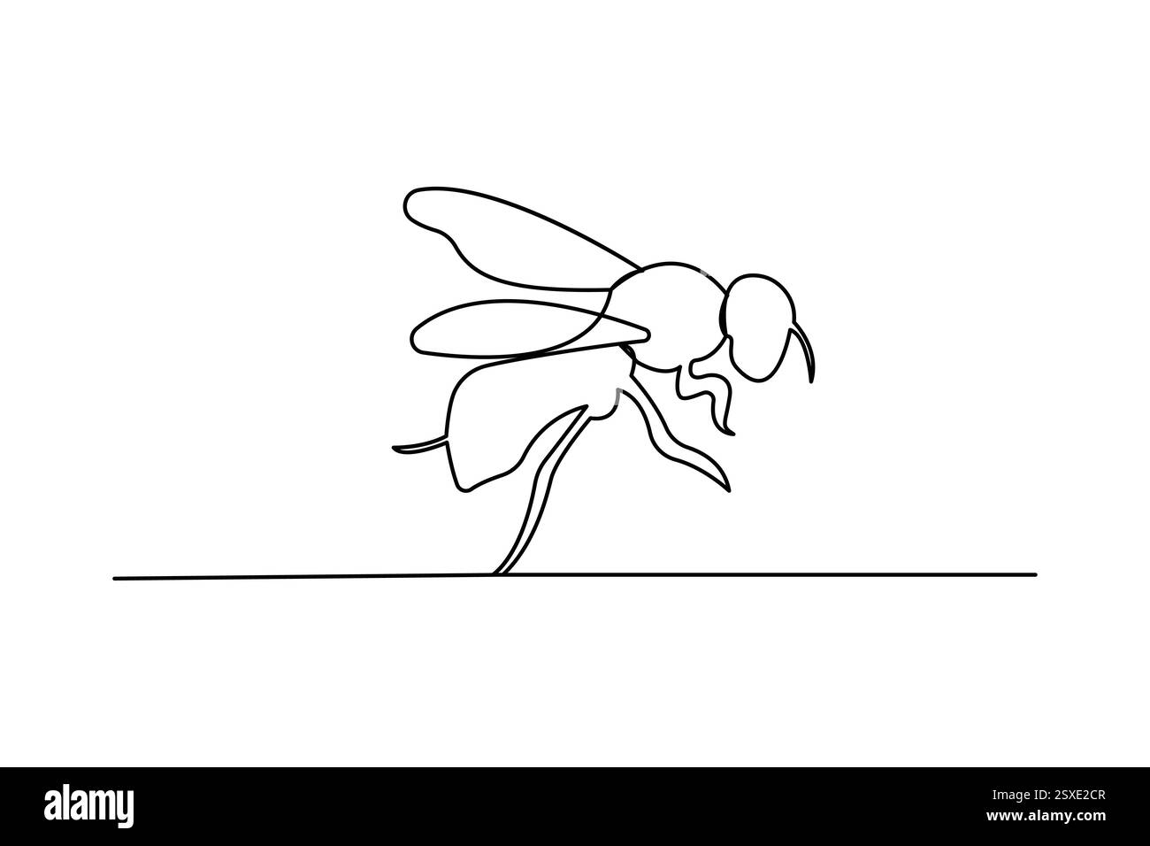 Dessin continu d'une seule ligne d'illustration d'art vectoriel isolé de contour d'abeille Illustration de Vecteur