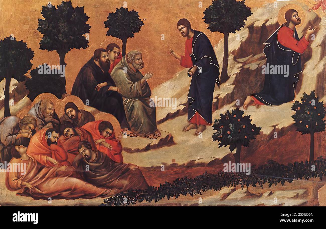 DUCCIO di Buoninsegna (né vers 1255, Sienne, d. 1319, Sienne) agonie dans le jardin 1308-11 Tempera sur bois, 51 x 76 cm Museo dell'Opera del Duomo, Sienne dans l'agonie dans le jardin, Jésus se tourne vers Pierre, Jacques le Grand et Jean, les secouant et les avertissant de ne pas tomber dans la tentation, tandis que les autres disciples dorment. À droite, conformément à l'Évangile de Saint Luc, qui est le seul à mentionner un ange apparaissant, il se retire dans la prière. Dans ce cadre calme, les deux épisodes sont visualisés à travers les gestes du Christ, de Pierre et de l’ange. --- mot-clé Banque D'Images