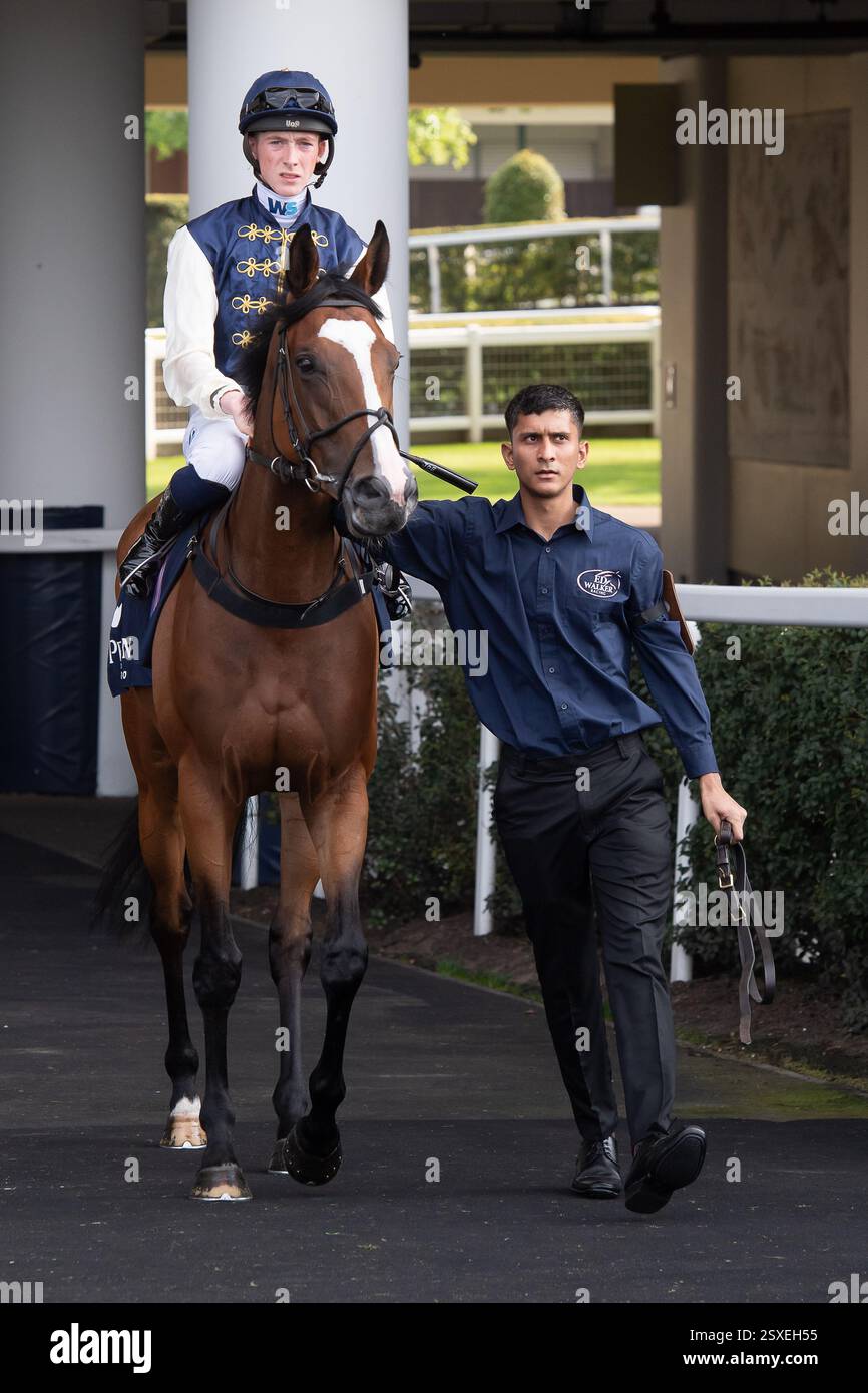 Ascot, Berkshire, Royaume-Uni. 10 mai 2024. Cheval HEDONISTA monté par le jockey Joe Leavy se dirige sur le circuit pour les Peroni Nastro Azzurzo 0,0% Apprentice handicap Stakes à Ascot Racecourse au Peroni Nastro Azzurro 0,0% Friday Raceday. Crédit : Maureen McLean/Alamy Banque D'Images