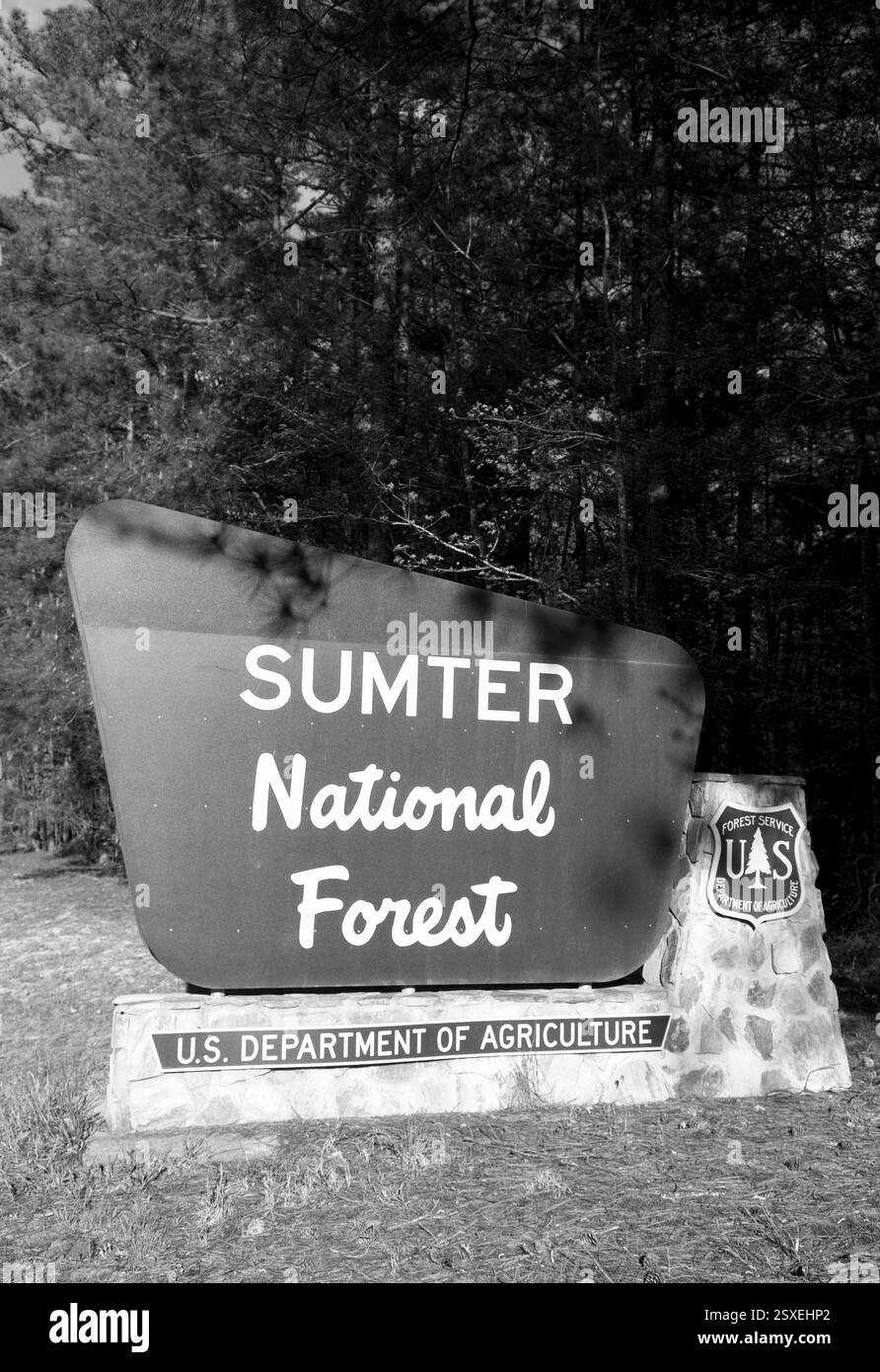 Sumter National Forest panneau d'entrée à Whitmire, Caroline du Sud, États-Unis, marquant la porte d'entrée de l'une des forêts nationales pittoresques de l'État. Banque D'Images