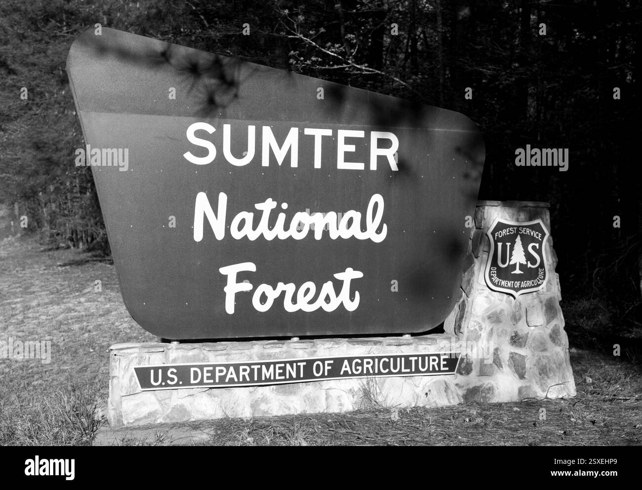 Panneau d'entrée de Sumter National Forest à Whitmire, Caroline du Sud, États-Unis, marquant la limite de cette vaste forêt protégée par le gouvernement fédéral. Banque D'Images