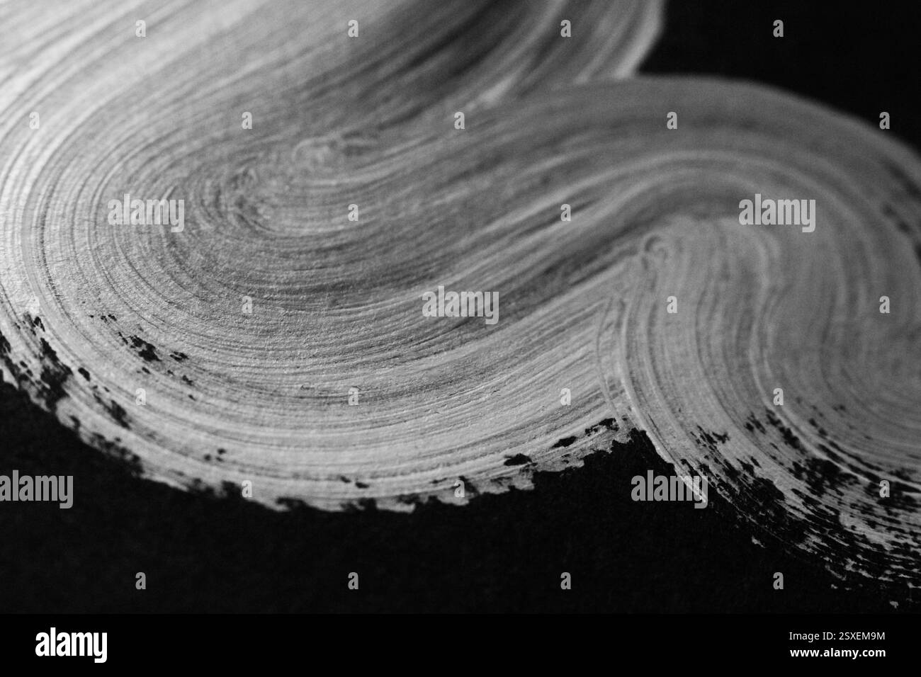 Une photographie en gros plan en noir et blanc d'œuvres d'art faites à la main. Coups de pinceau et texture de la peinture sur papier Banque D'Images
