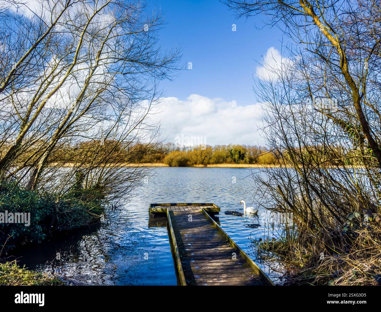Un matin d'hiver froid et ensoleillé sur Coate Water à Swindon. Banque D'Images