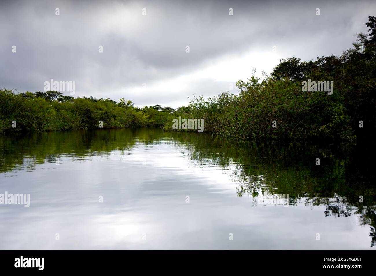 La splendide eau du cratère Azul près de Flores, Guatemala Banque D'Images