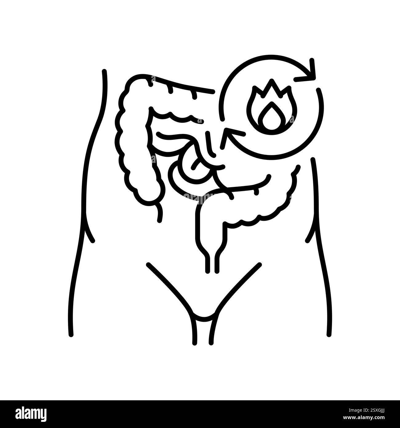 Icône de ligne noire métabolisme. Elément isolé par vecteur. Accident vasculaire cérébral modifiable en nutritionnologie . Contour modifiable. Illustration de Vecteur