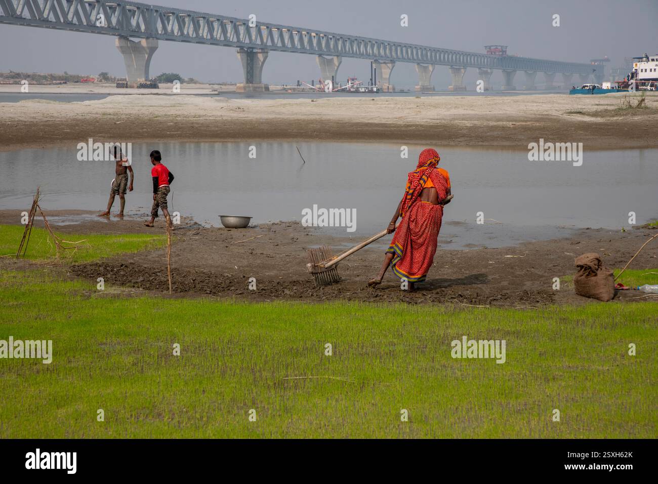 Une femme laboure le lit sec de la rivière Padma avec ses mains, car elle n'a ni animaux ni tracteur, sous le pont polyvalent Padma pendant la saison sèche Banque D'Images