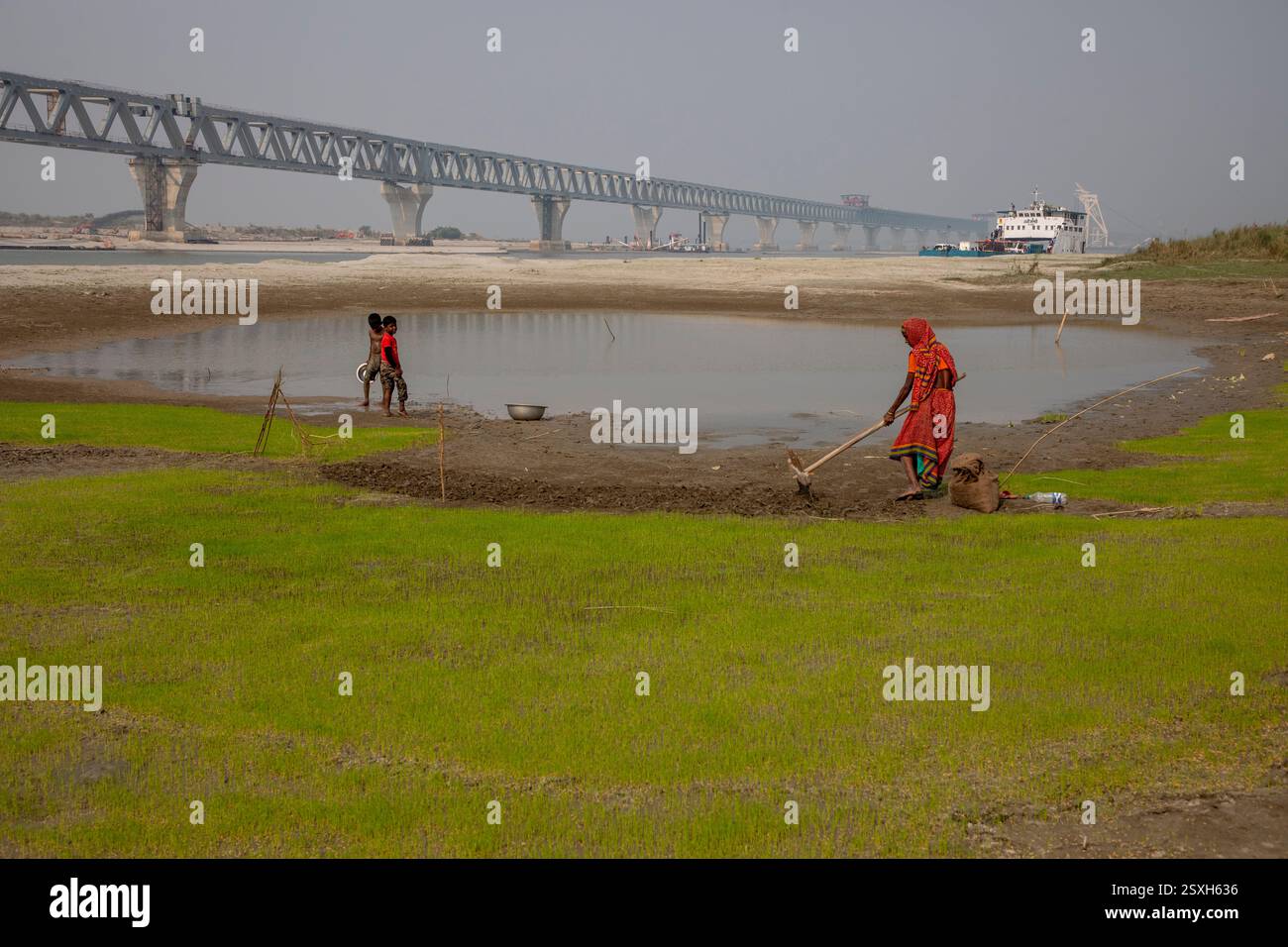 Une femme laboure le lit sec de la rivière Padma avec ses mains, car elle n'a ni animaux ni tracteur, sous le pont polyvalent Padma pendant la saison sèche Banque D'Images