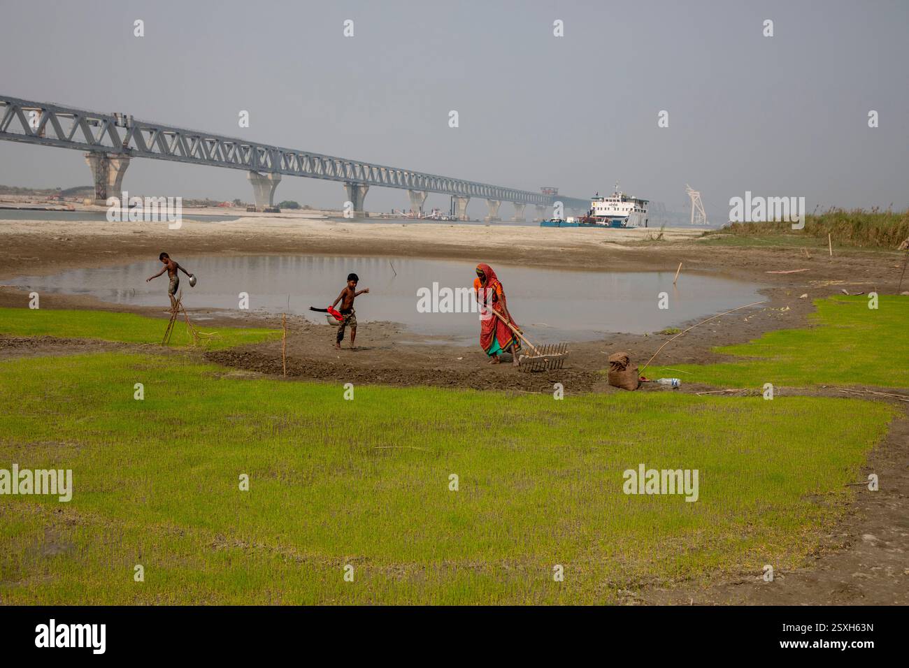 Une femme laboure le lit sec de la rivière Padma avec ses mains, car elle n'a ni animaux ni tracteur, sous le pont polyvalent Padma pendant la saison sèche Banque D'Images