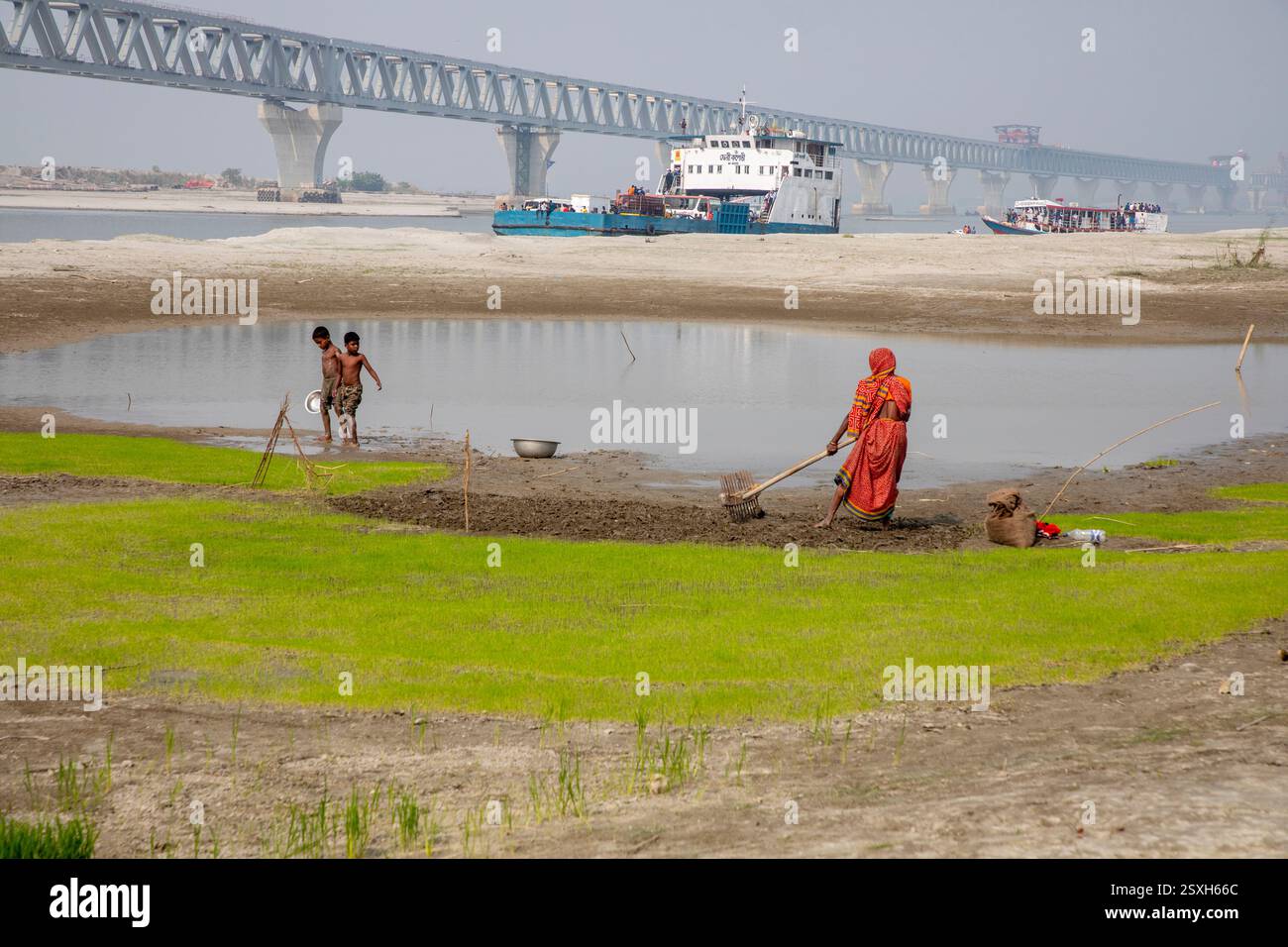 Une femme laboure le lit sec de la rivière Padma avec ses mains, car elle n'a ni animaux ni tracteur, sous le pont polyvalent Padma pendant la saison sèche Banque D'Images