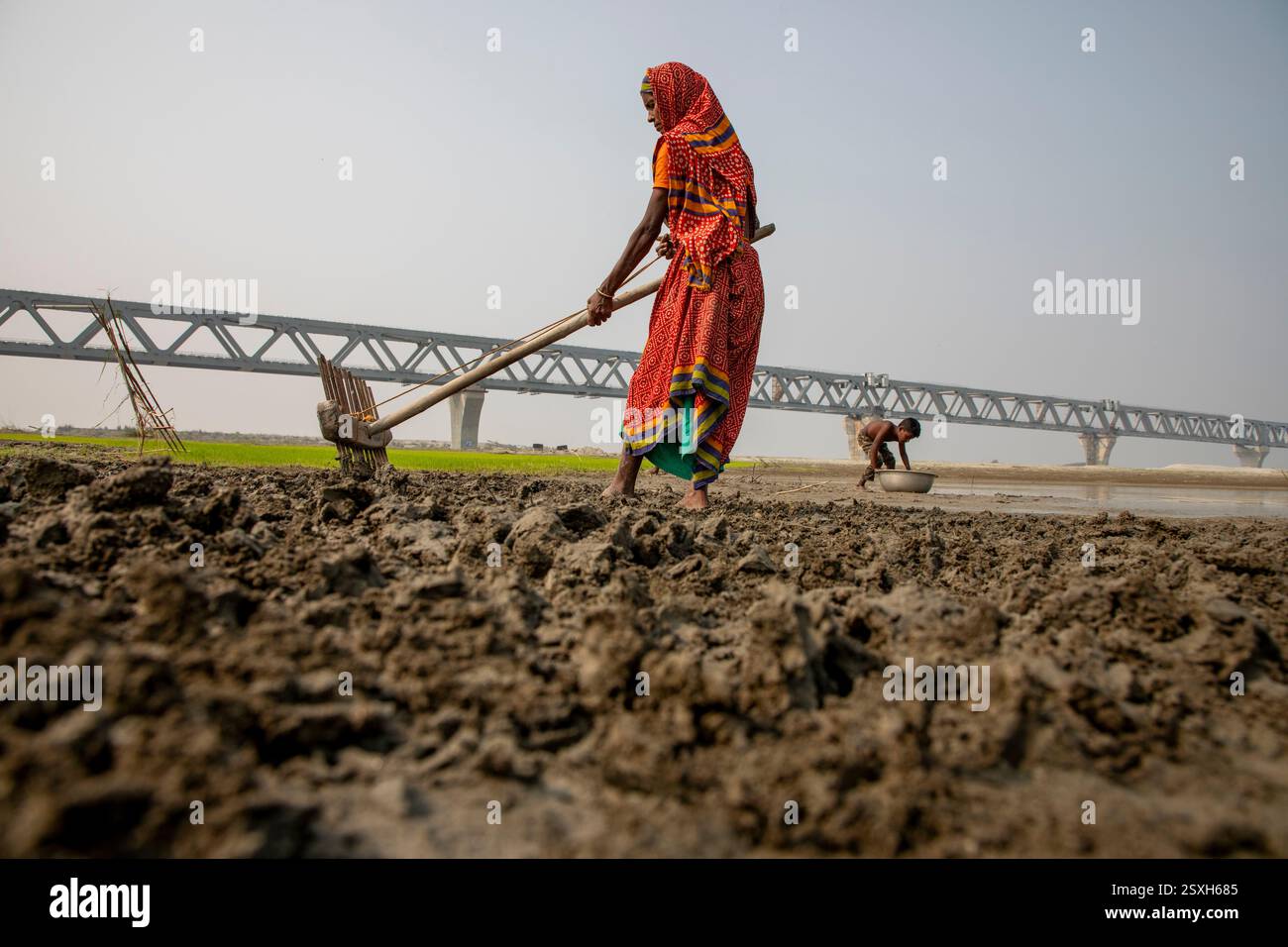 Une femme laboure le lit sec de la rivière Padma avec ses mains, car elle n'a ni animaux ni tracteur, sous le pont polyvalent Padma pendant la saison sèche Banque D'Images
