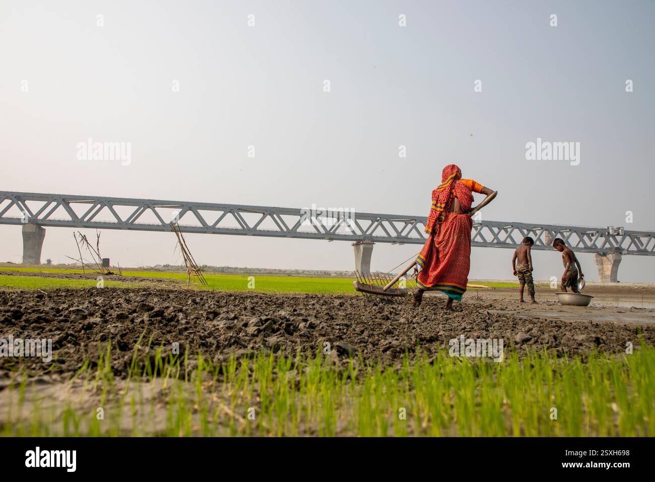 Une femme laboure le lit sec de la rivière Padma avec ses mains, car elle n'a ni animaux ni tracteur, sous le pont polyvalent Padma pendant la saison sèche Banque D'Images