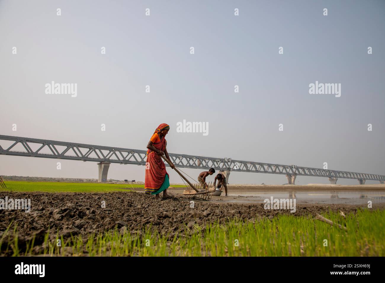 Une femme laboure le lit sec de la rivière Padma avec ses mains, car elle n'a ni animaux ni tracteur, sous le pont polyvalent Padma pendant la saison sèche Banque D'Images