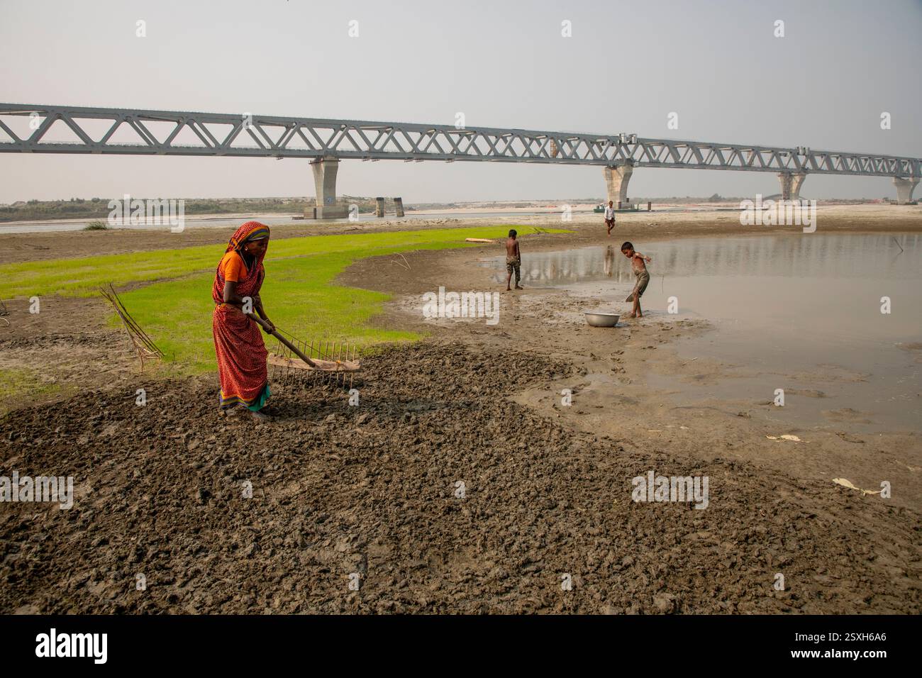 Une femme laboure le lit sec de la rivière Padma avec ses mains, car elle n'a ni animaux ni tracteur, sous le pont polyvalent Padma pendant la saison sèche Banque D'Images