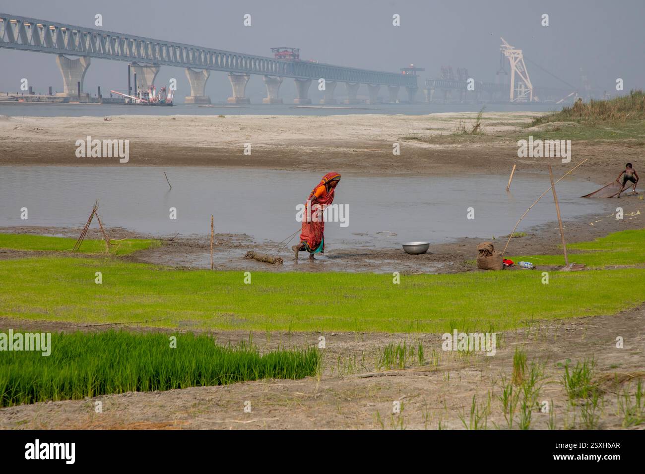 Une femme laboure le lit sec de la rivière Padma avec ses mains, car elle n'a ni animaux ni tracteur, sous le pont polyvalent Padma pendant la saison sèche Banque D'Images