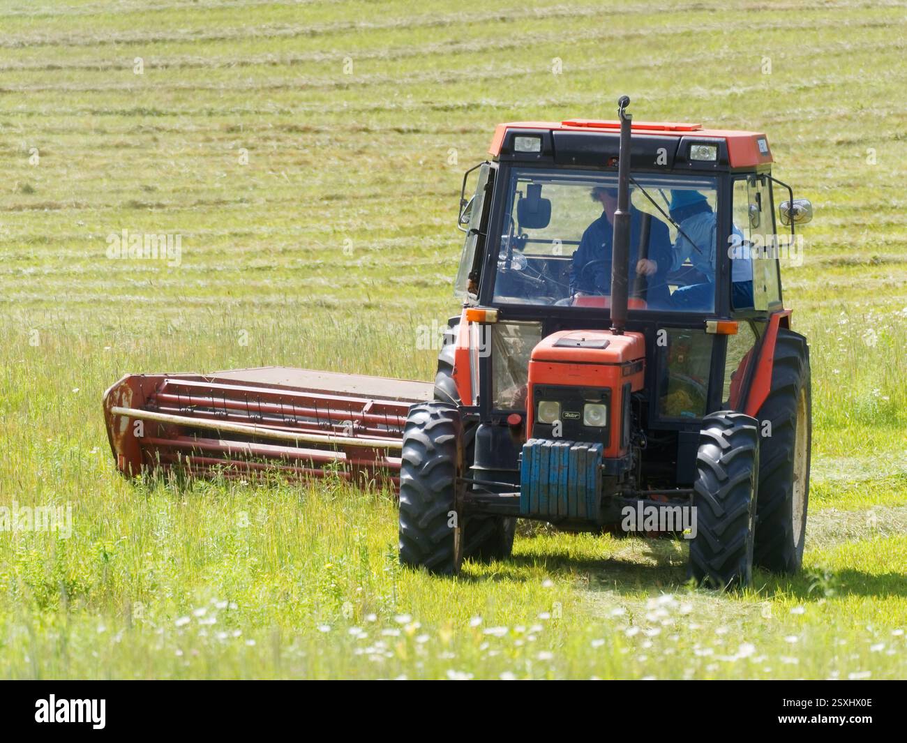 Faucher le foin avec un tracteur agricole, Québec, Canada Banque D'Images
