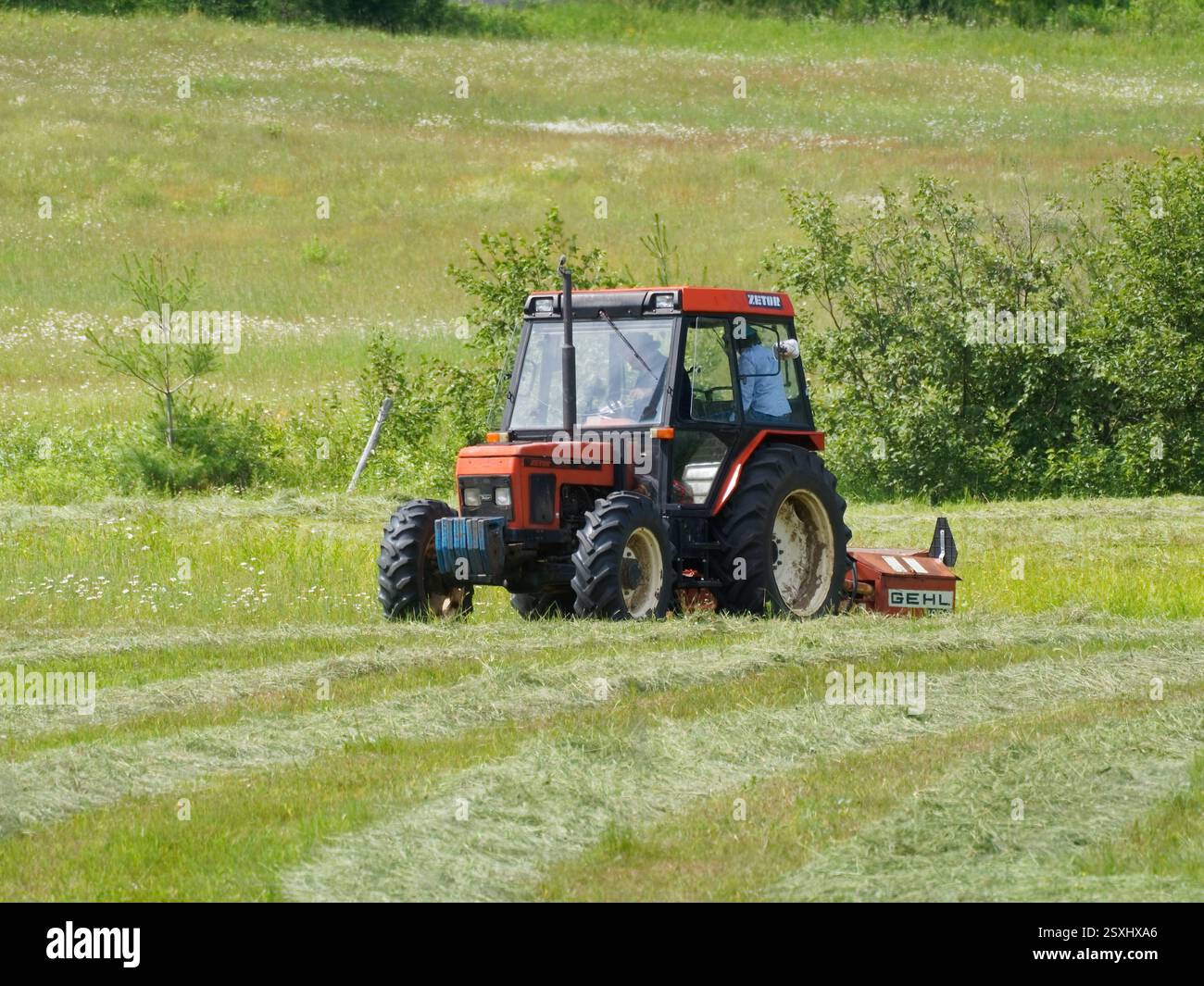 Faucher le foin avec un tracteur agricole, Québec, Canada Banque D'Images